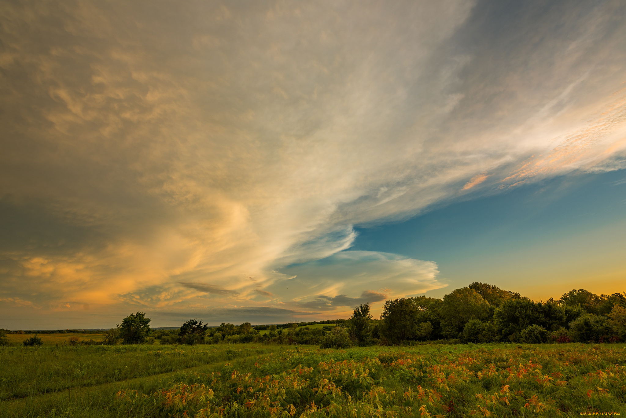 природа, пейзажи, простор
