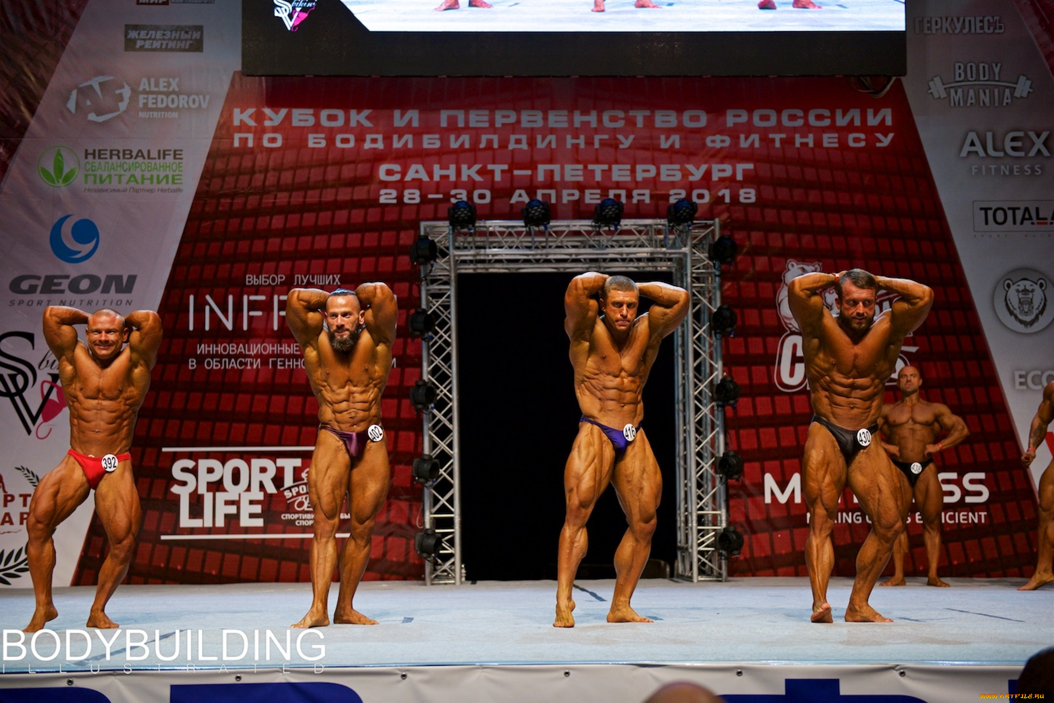 спорт, body, building, бодибилдинг