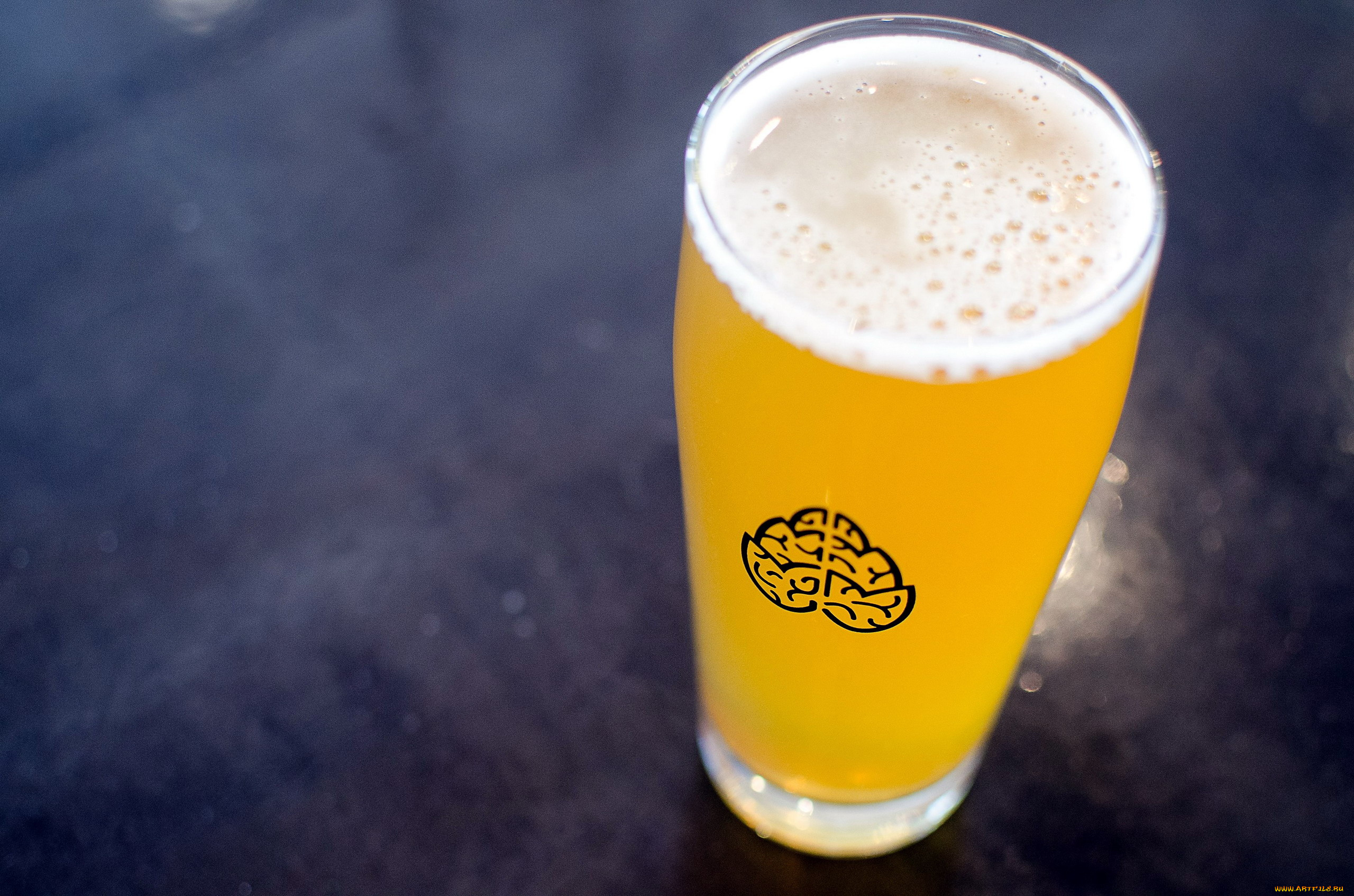 еда, напитки, , пиво, бокал, пиво, пена