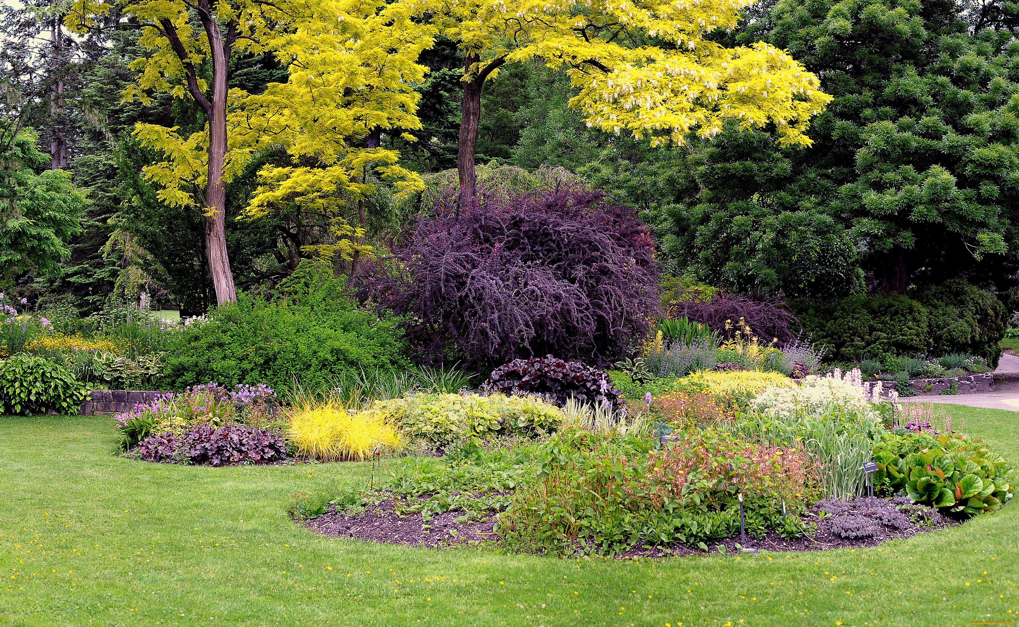 природа, парк, клумбы