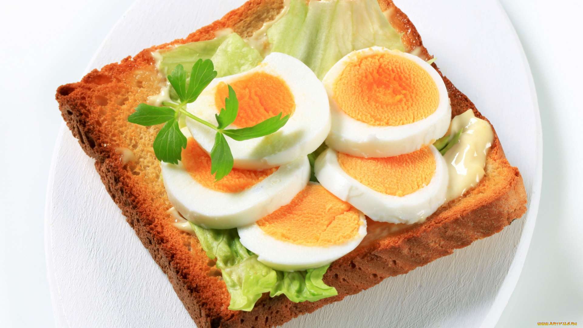 еда, бутерброды, , гамбургеры, , канапе, бутерброд