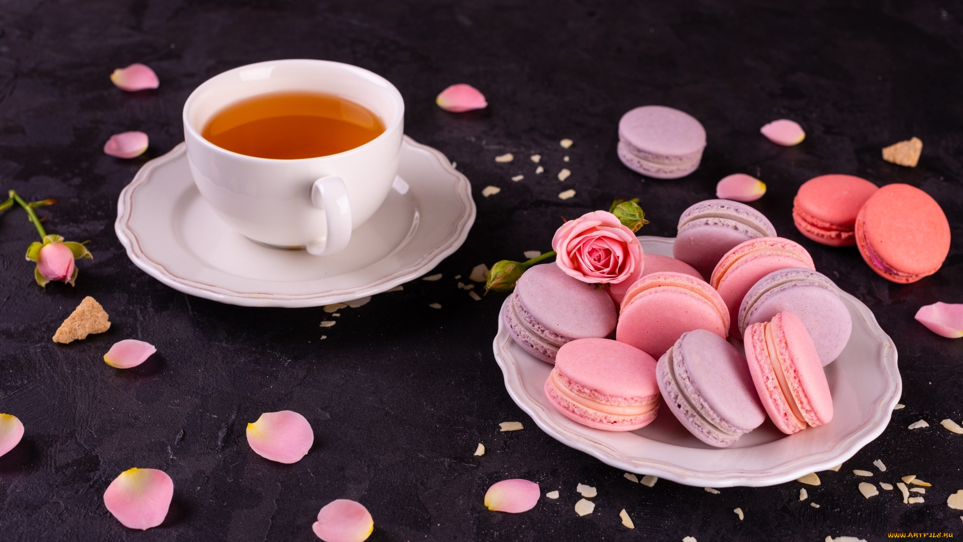 еда, макаруны, печенье, лакомство