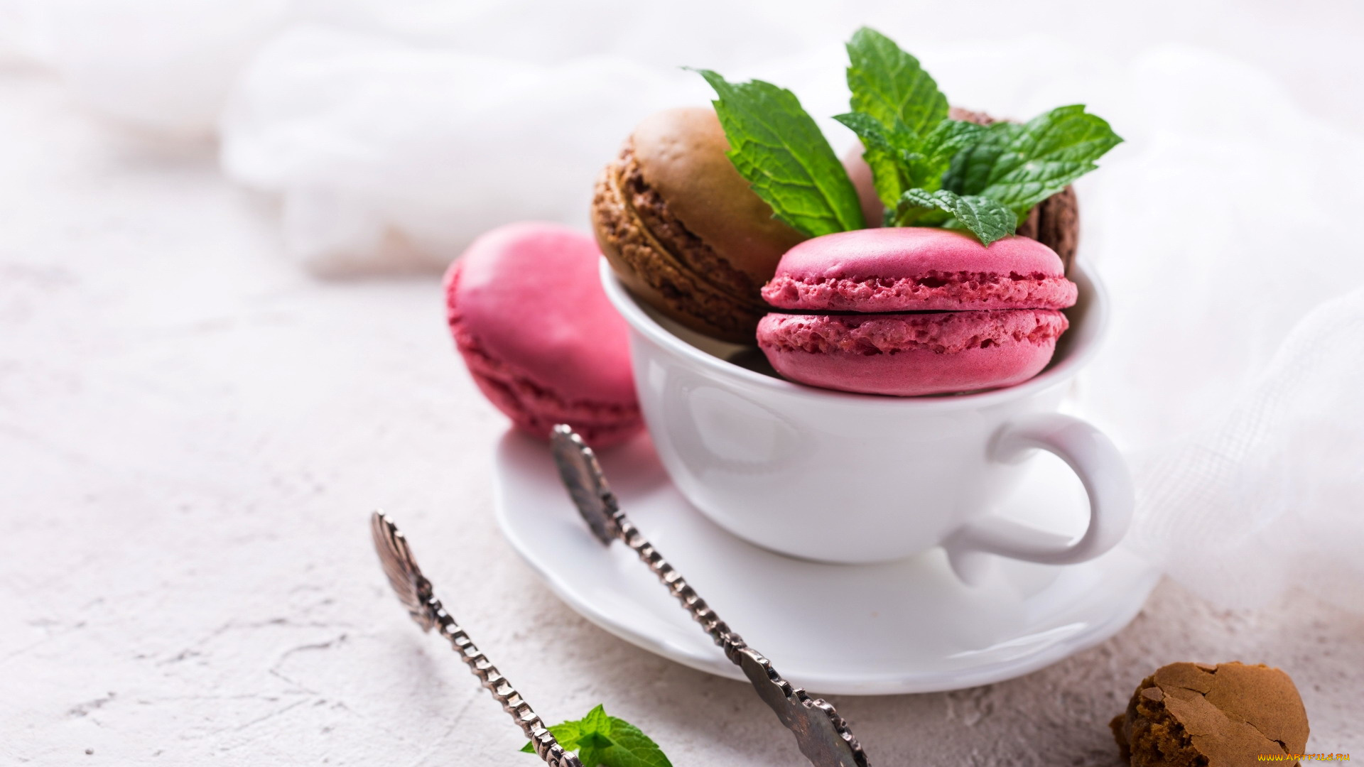 еда, макаруны, печенье, лакомство