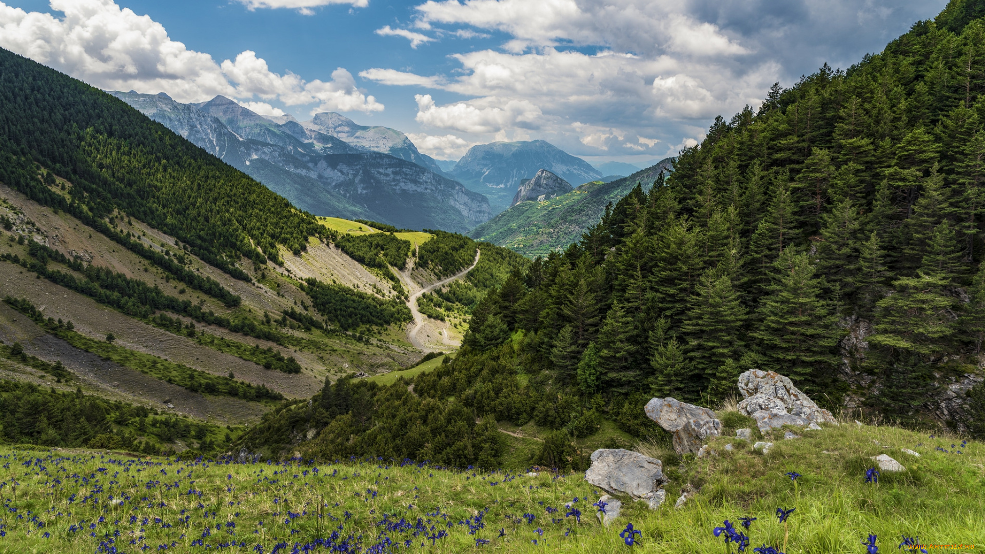 природа, горы, простор