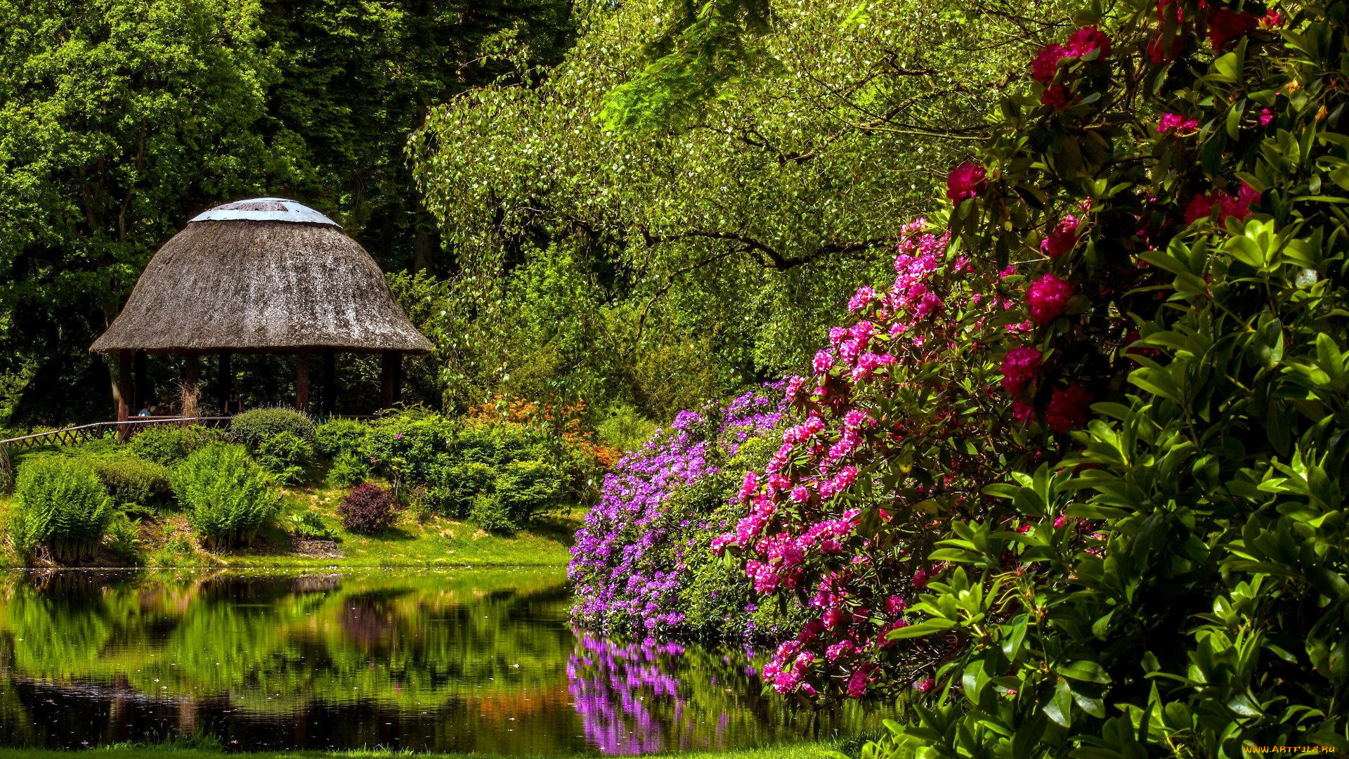 природа, парк, садик, японский