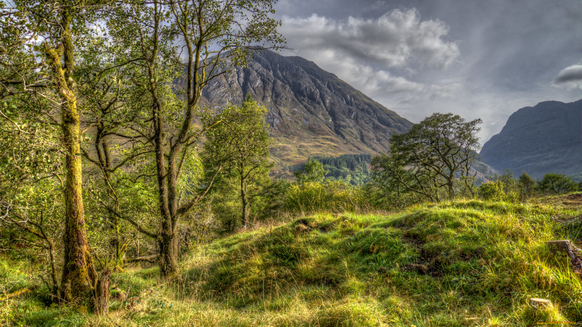 природа, пейзажи, простор