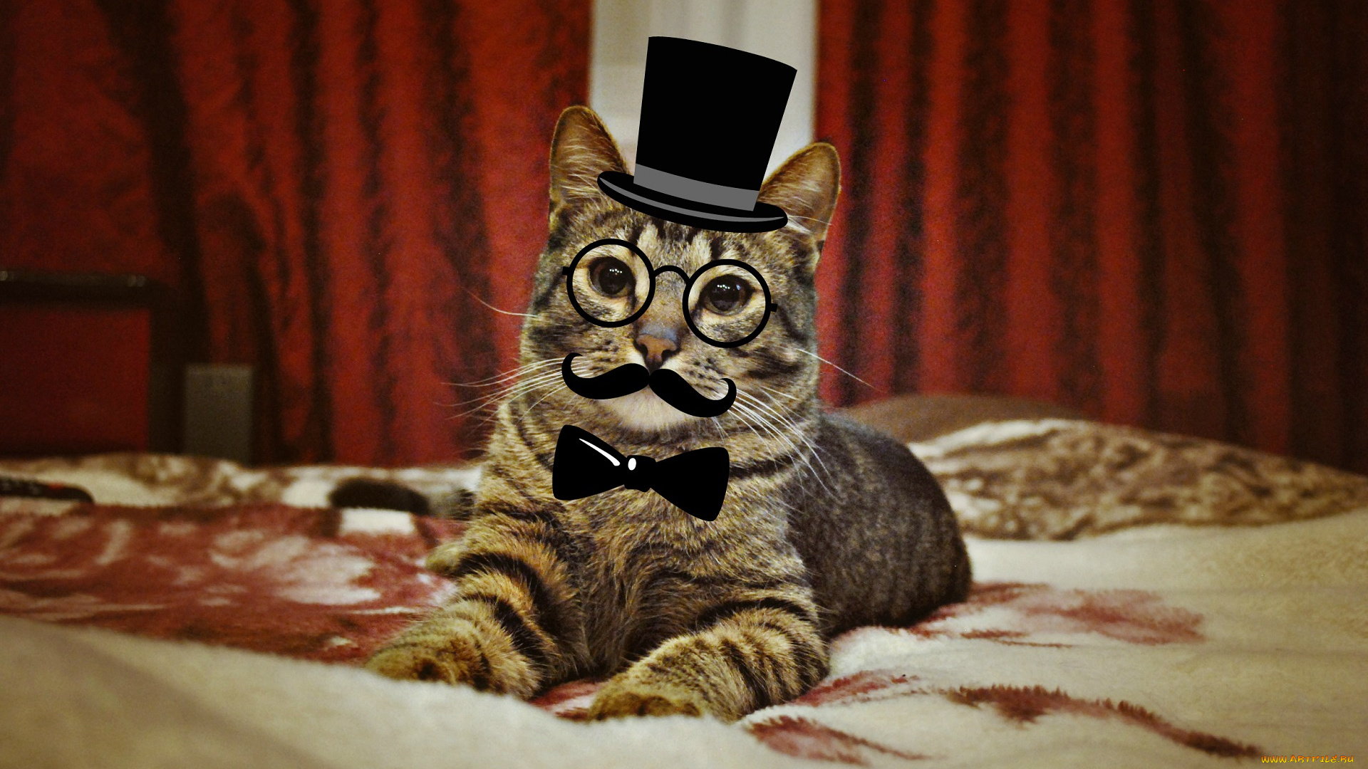 юмор, и, приколы, смотрит