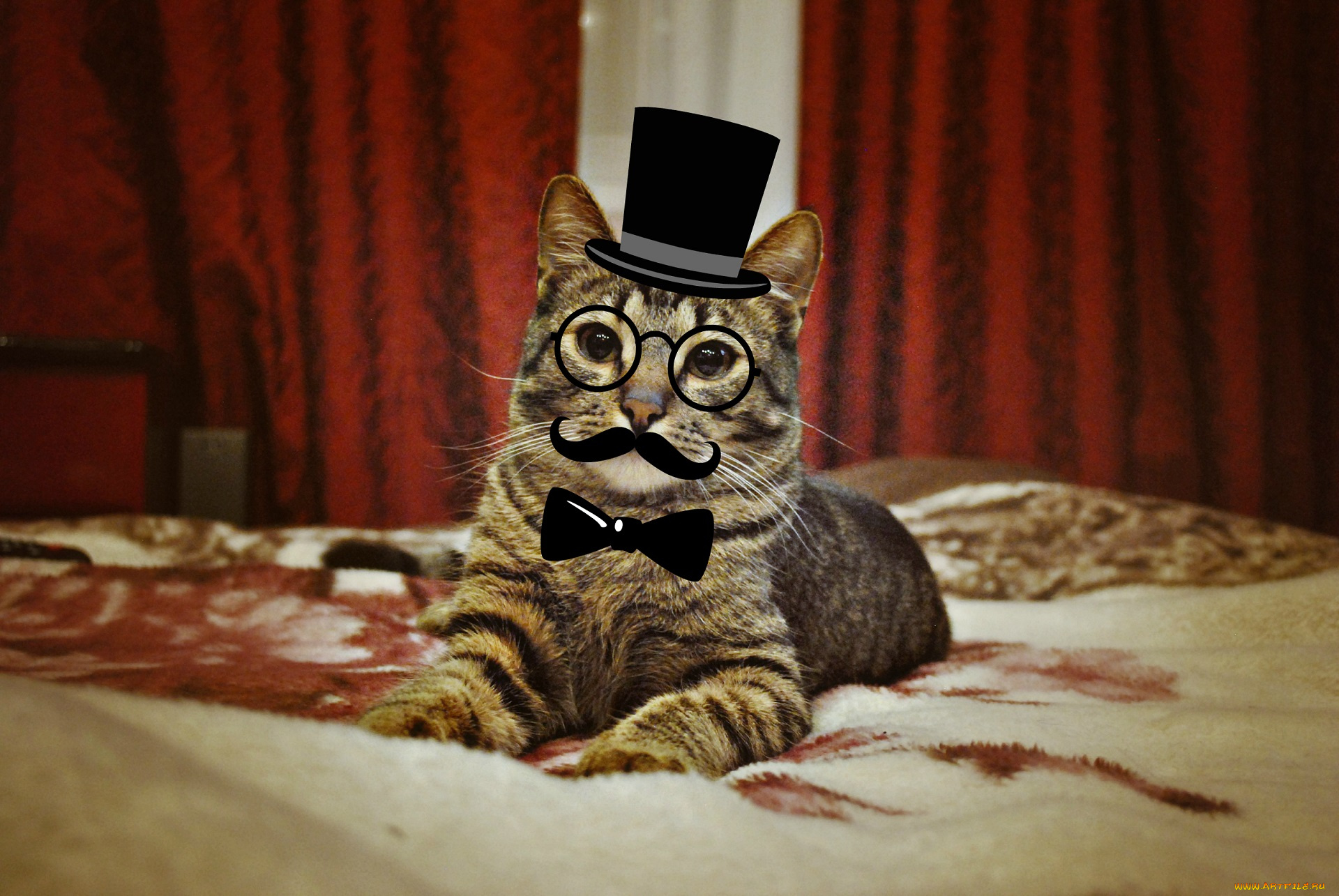 юмор, и, приколы, смотрит