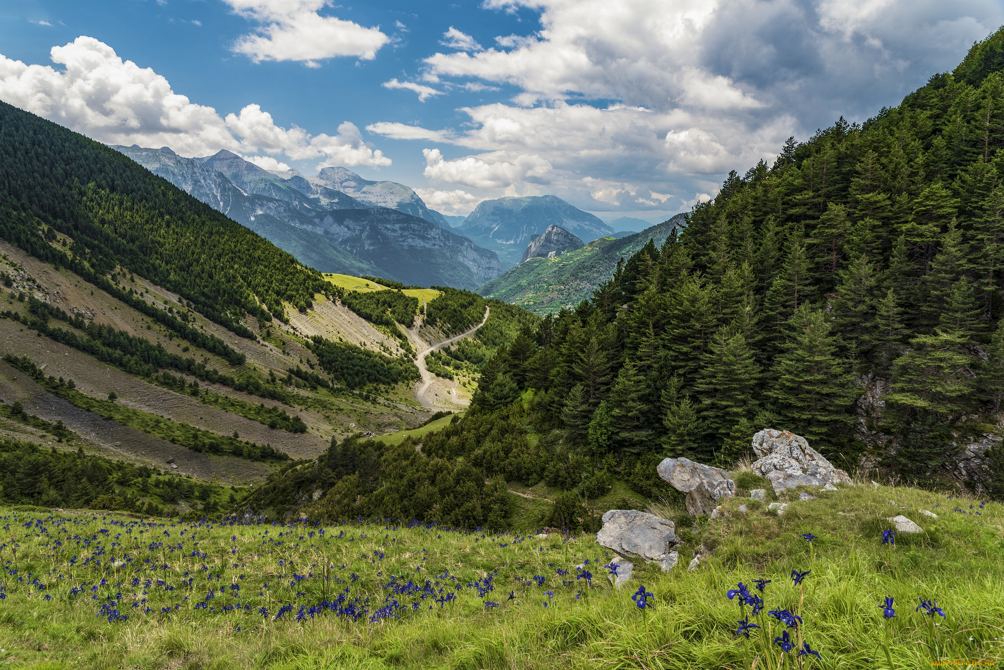 природа, горы, простор