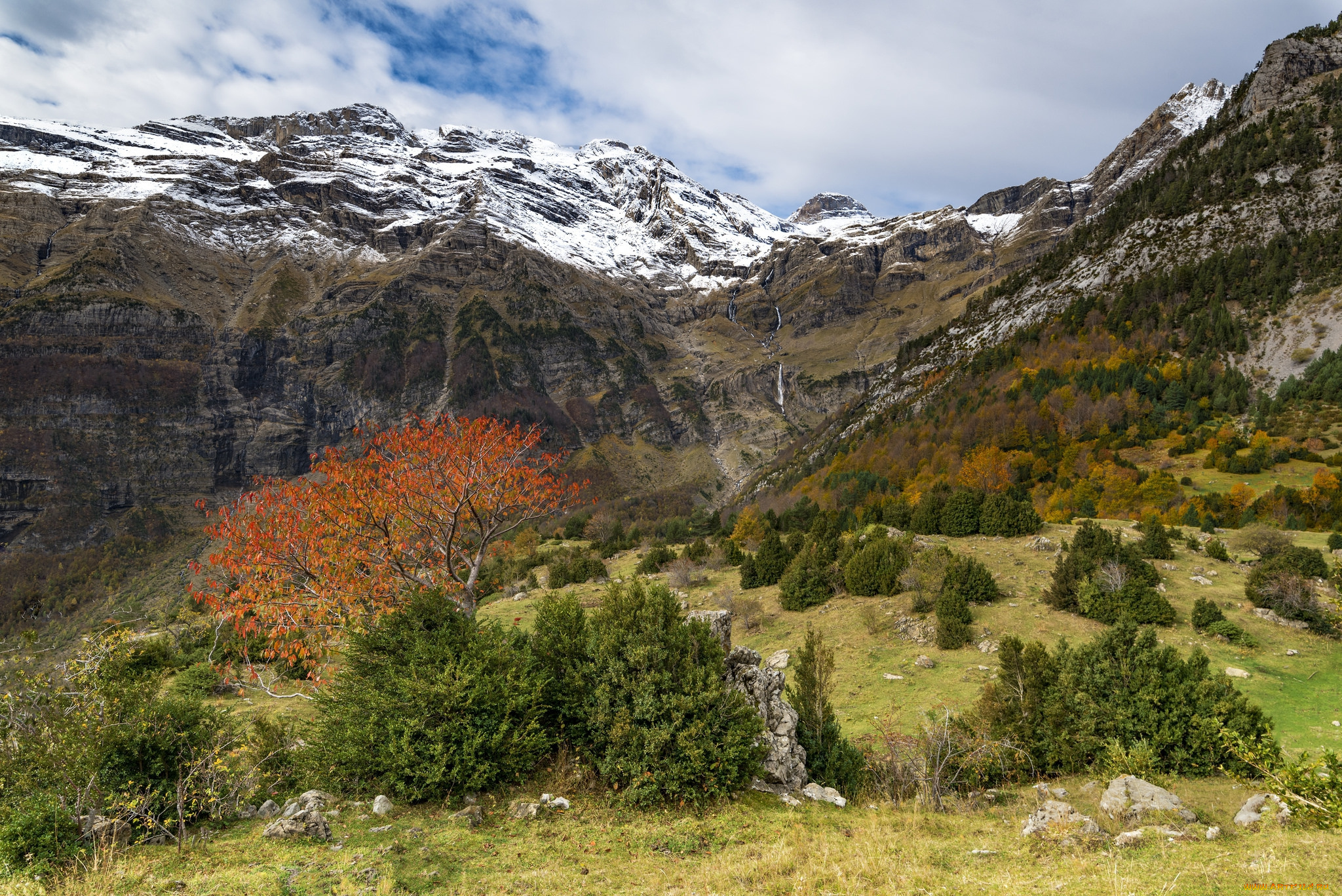 природа, горы, простор