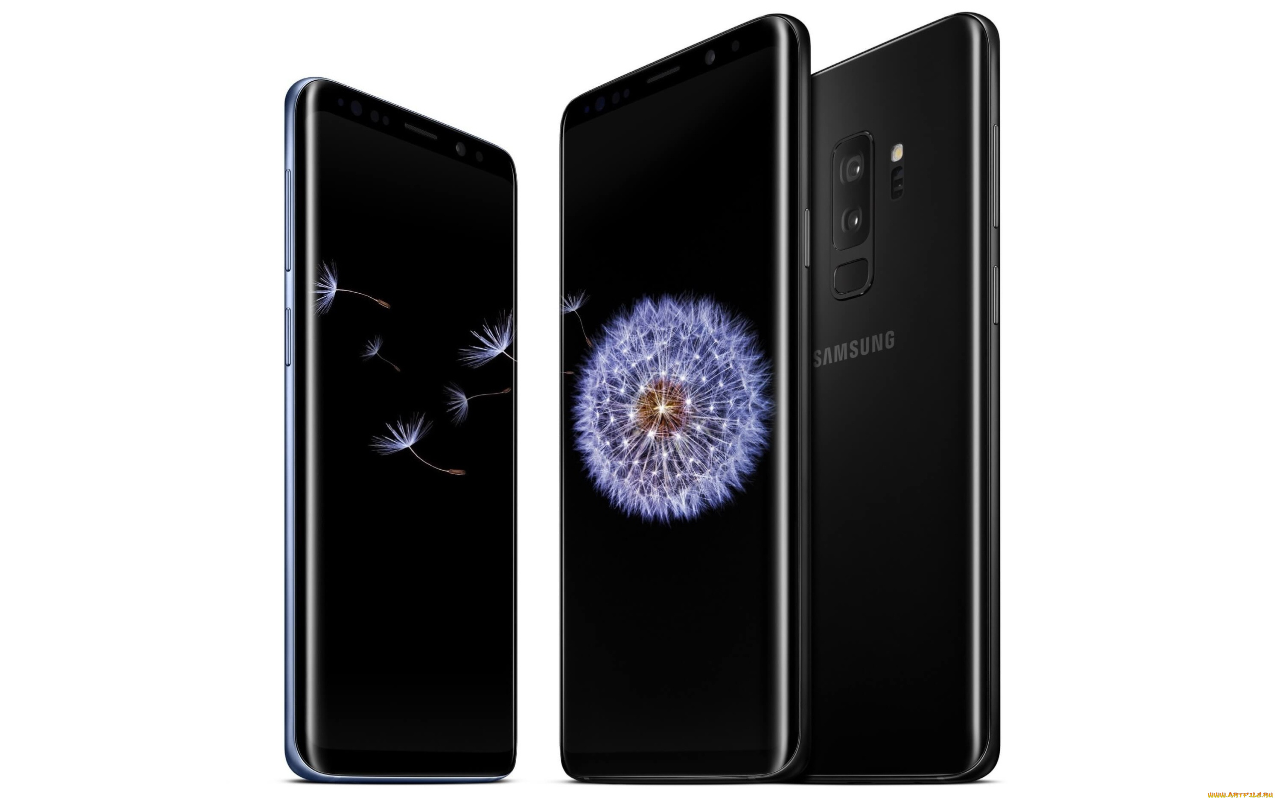 бренды, iphone, смартфоны