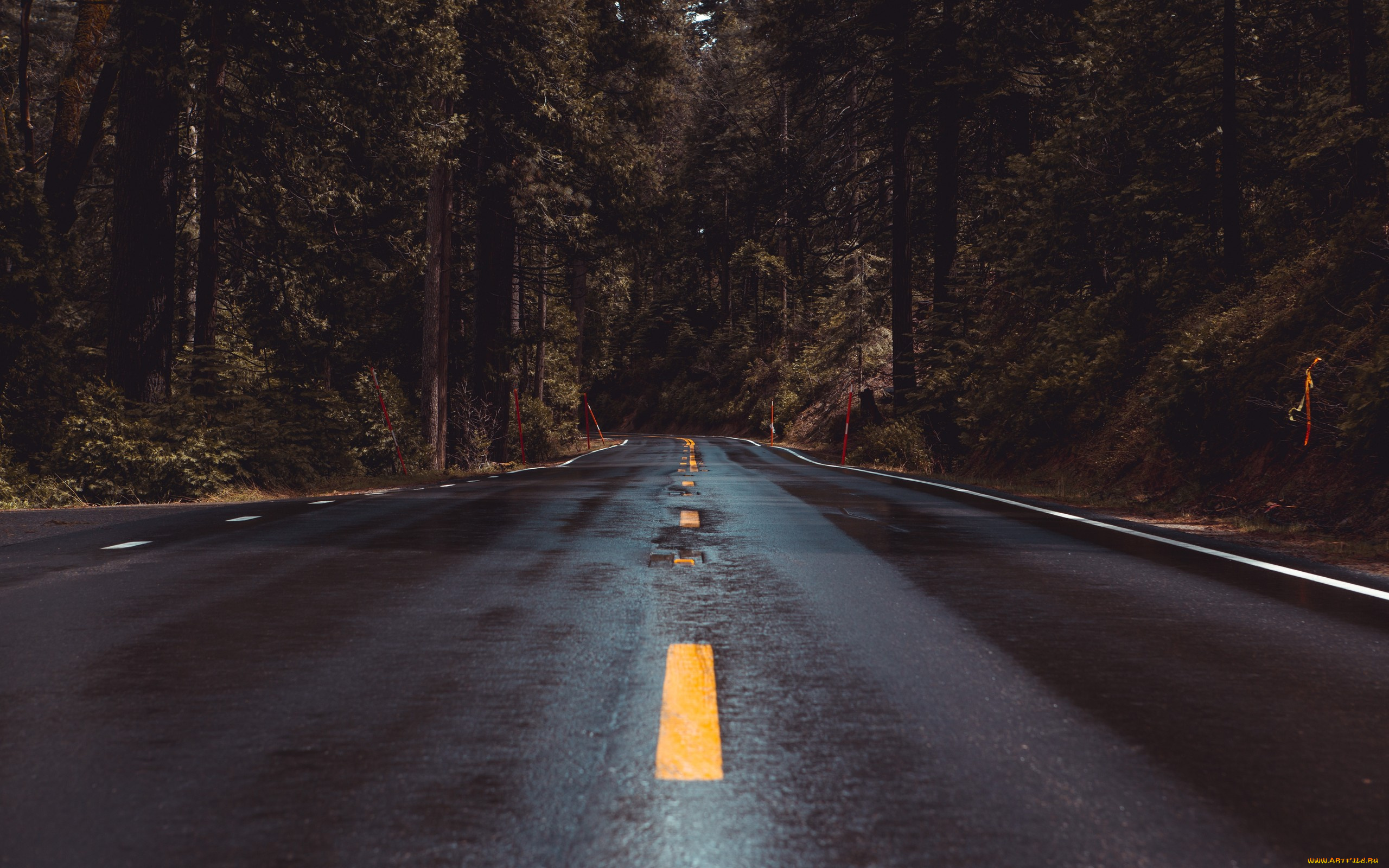 природа, дороги, шоссе