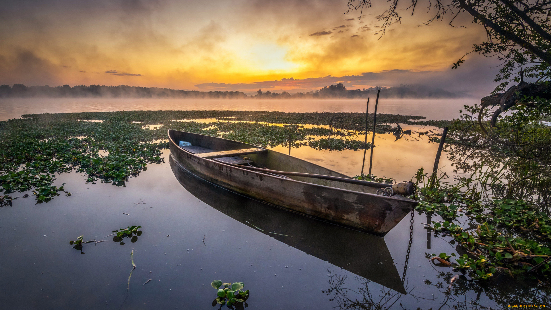 корабли, лодки, , шлюпки, закат, лодка