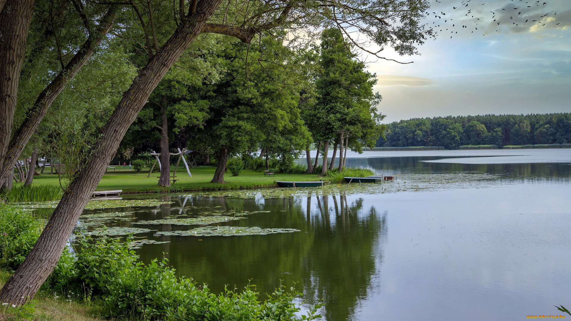 lychensee, germany, природа, реки, озера