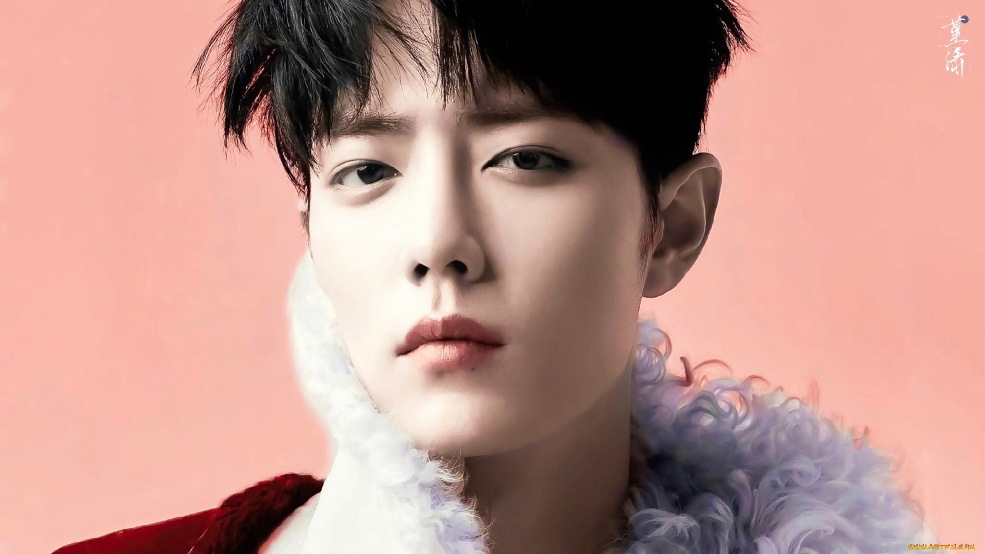 мужчины, xiao, zhan, актер, лицо, воротник