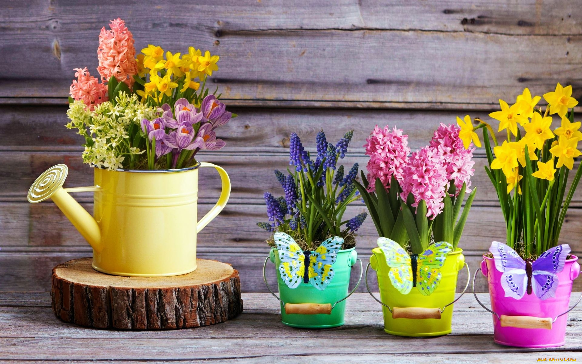 цветы, разные, вместе, крокусы, гиацинты, мускари, нарциссы