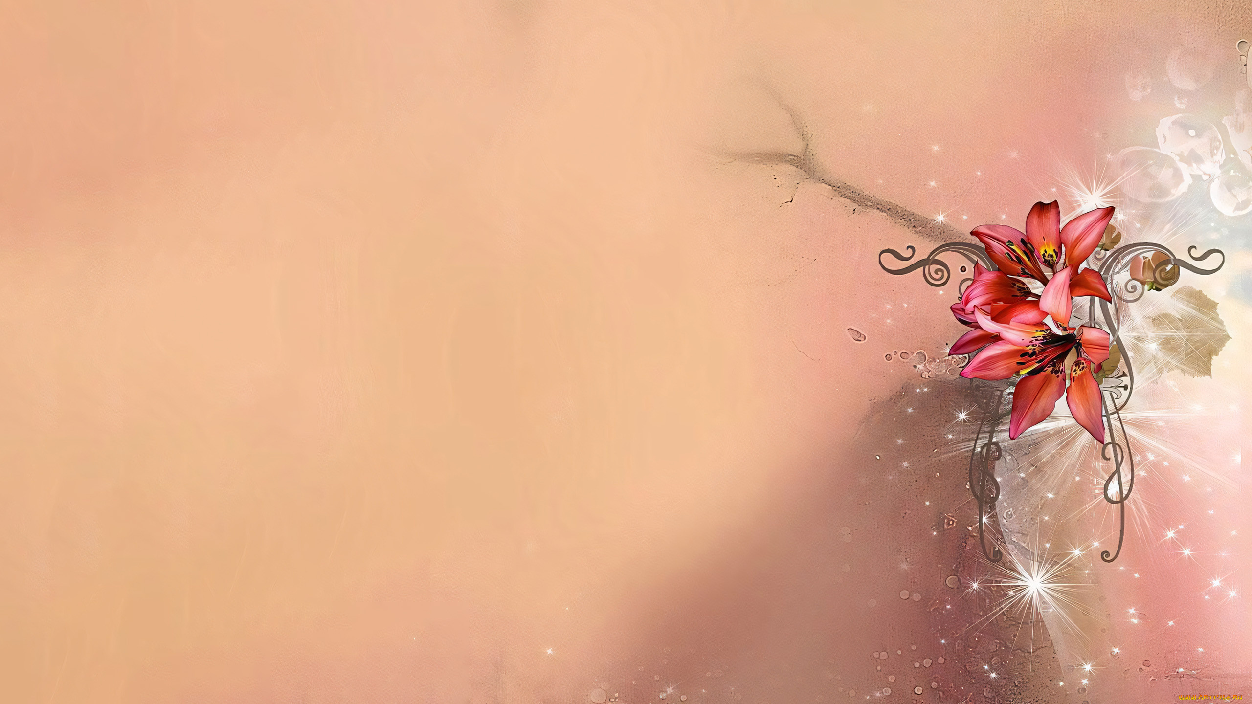 295494, рисованное, цветы, цветок