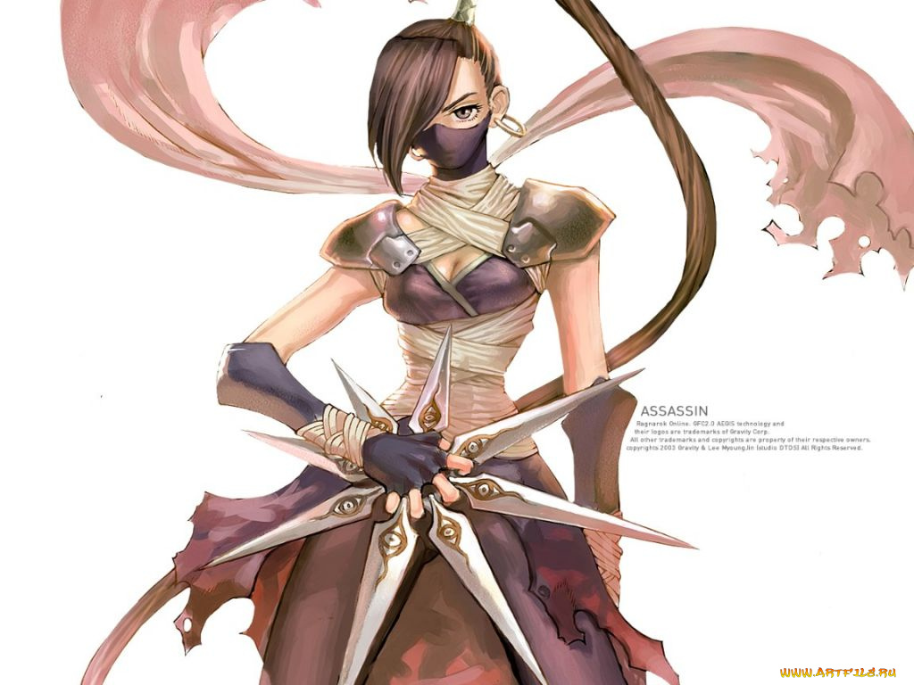 аниме, ragnarok