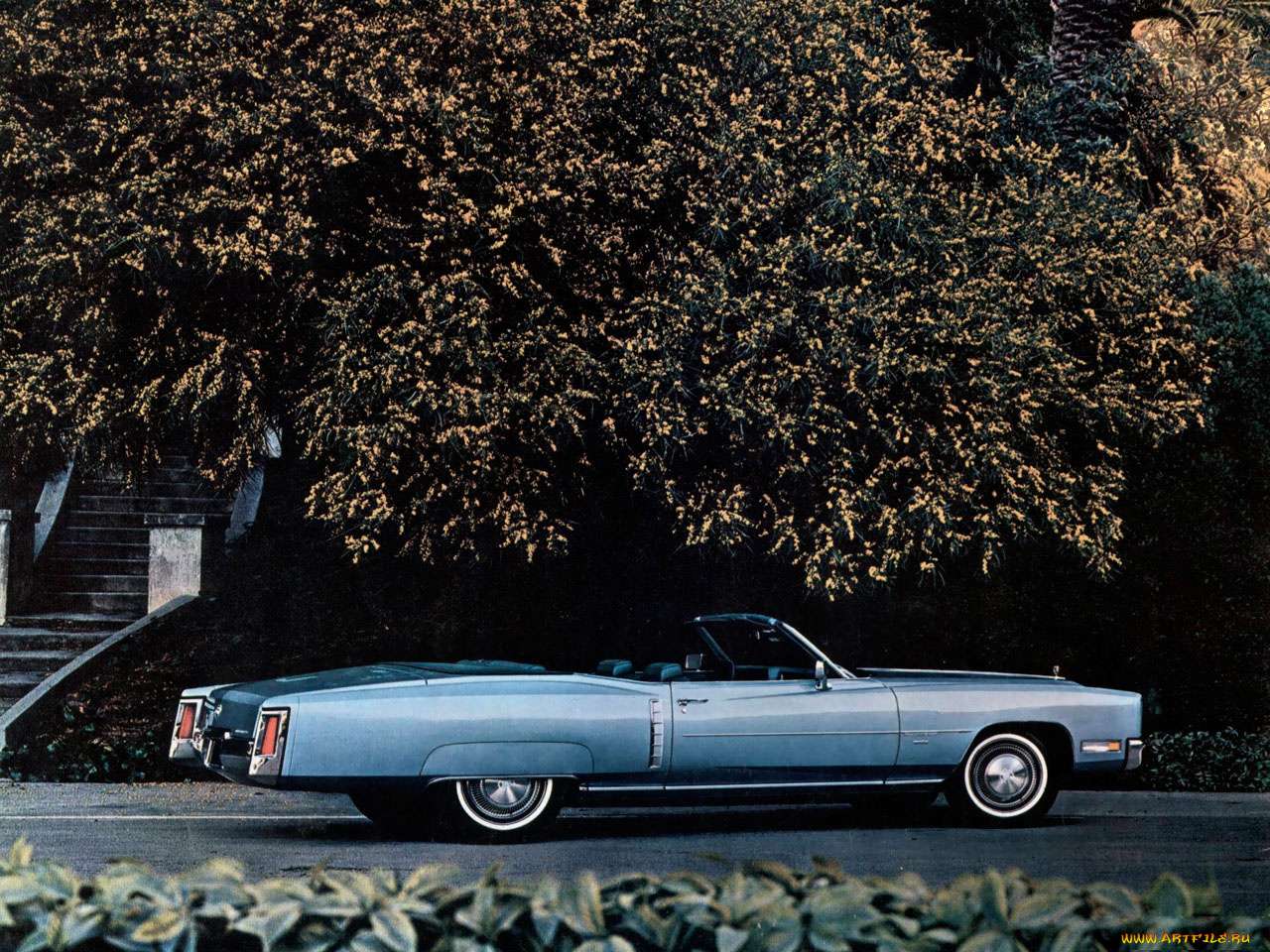 автомобили, cadillac