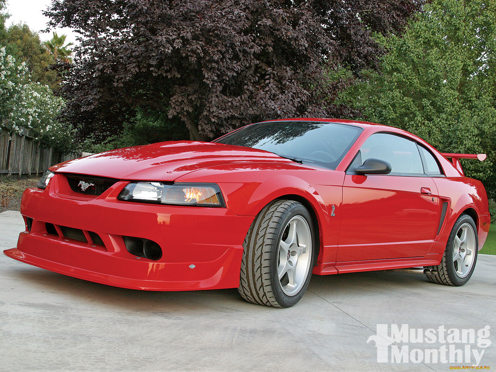 автомобили, mustang