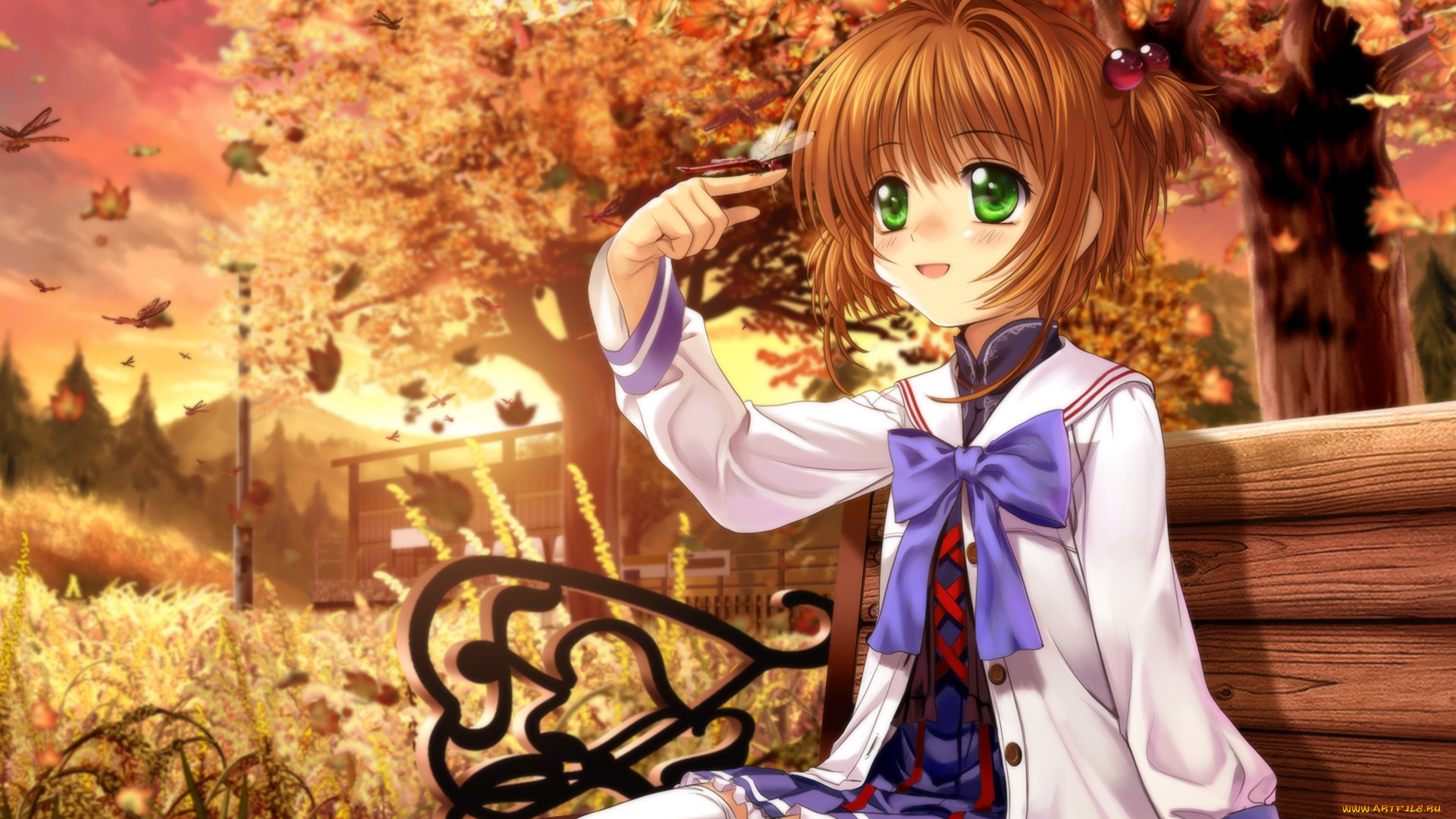 аниме, card, captor, sakura