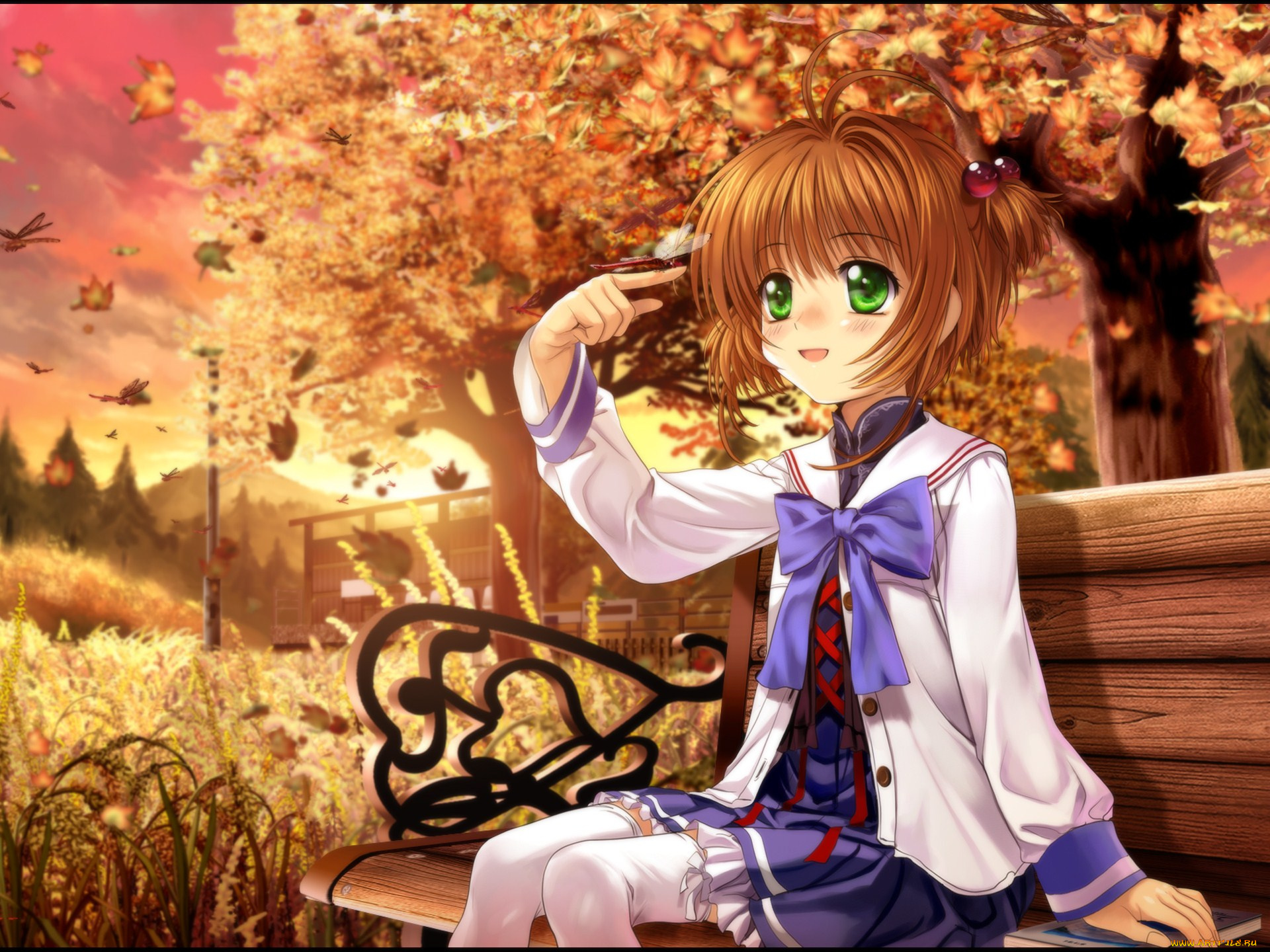 аниме, card, captor, sakura