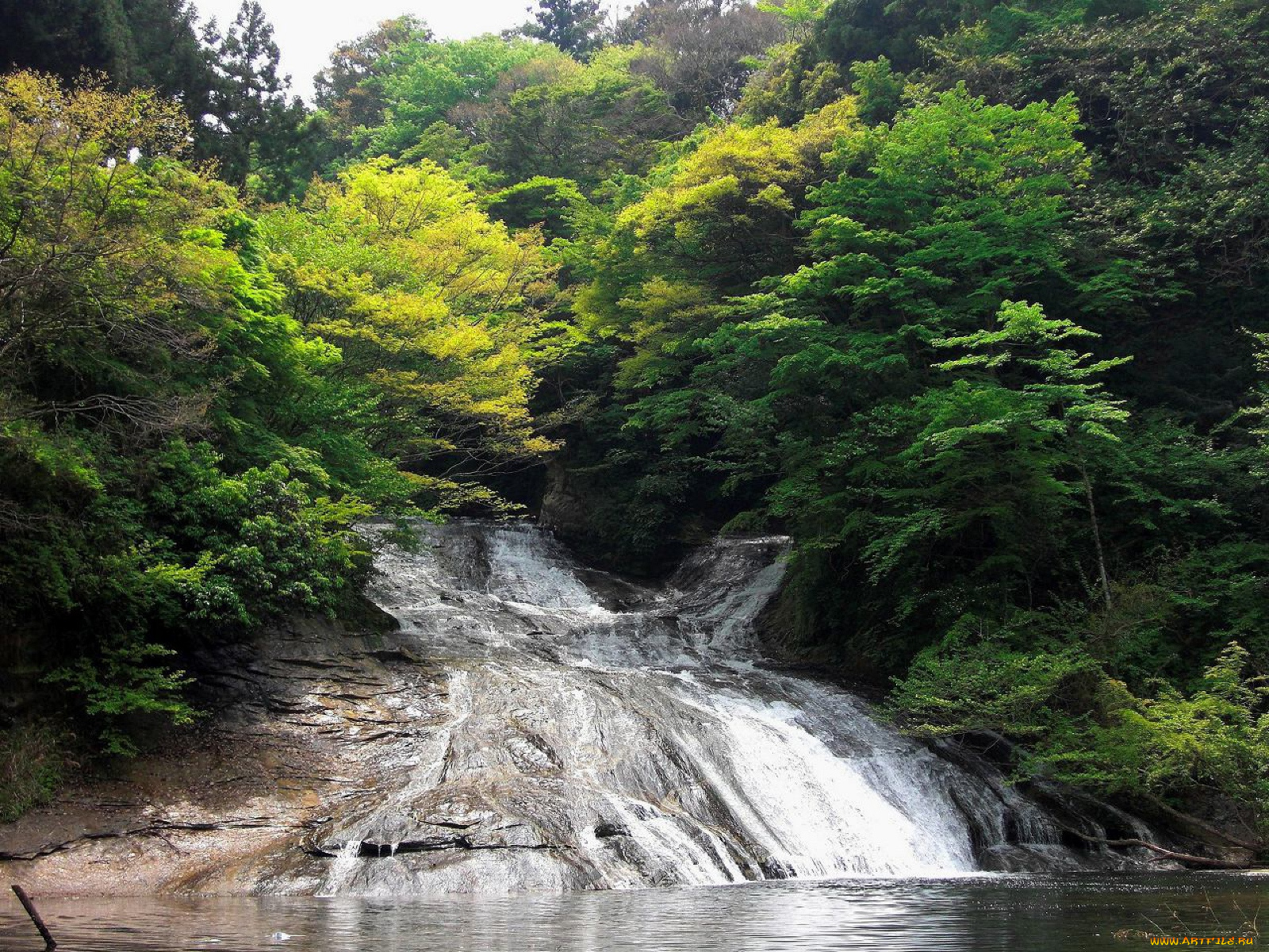 природа, реки, озера