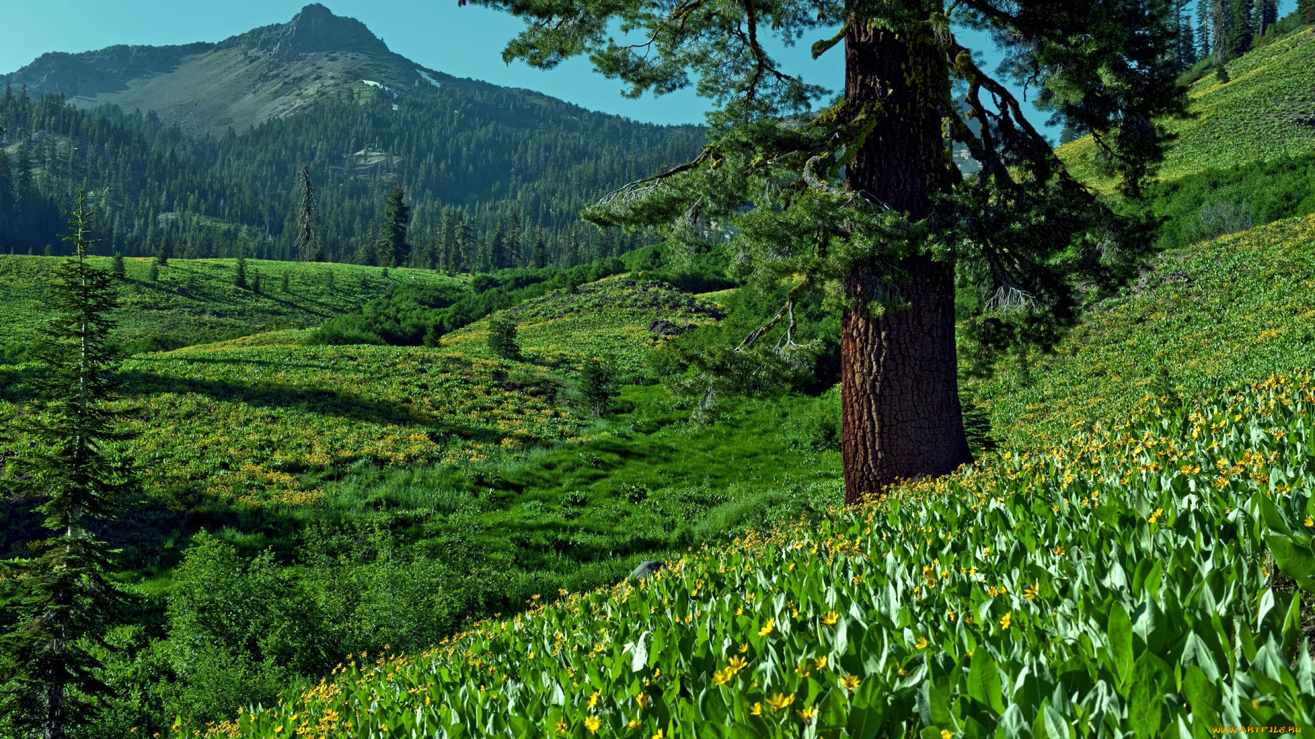 природа, пейзажи