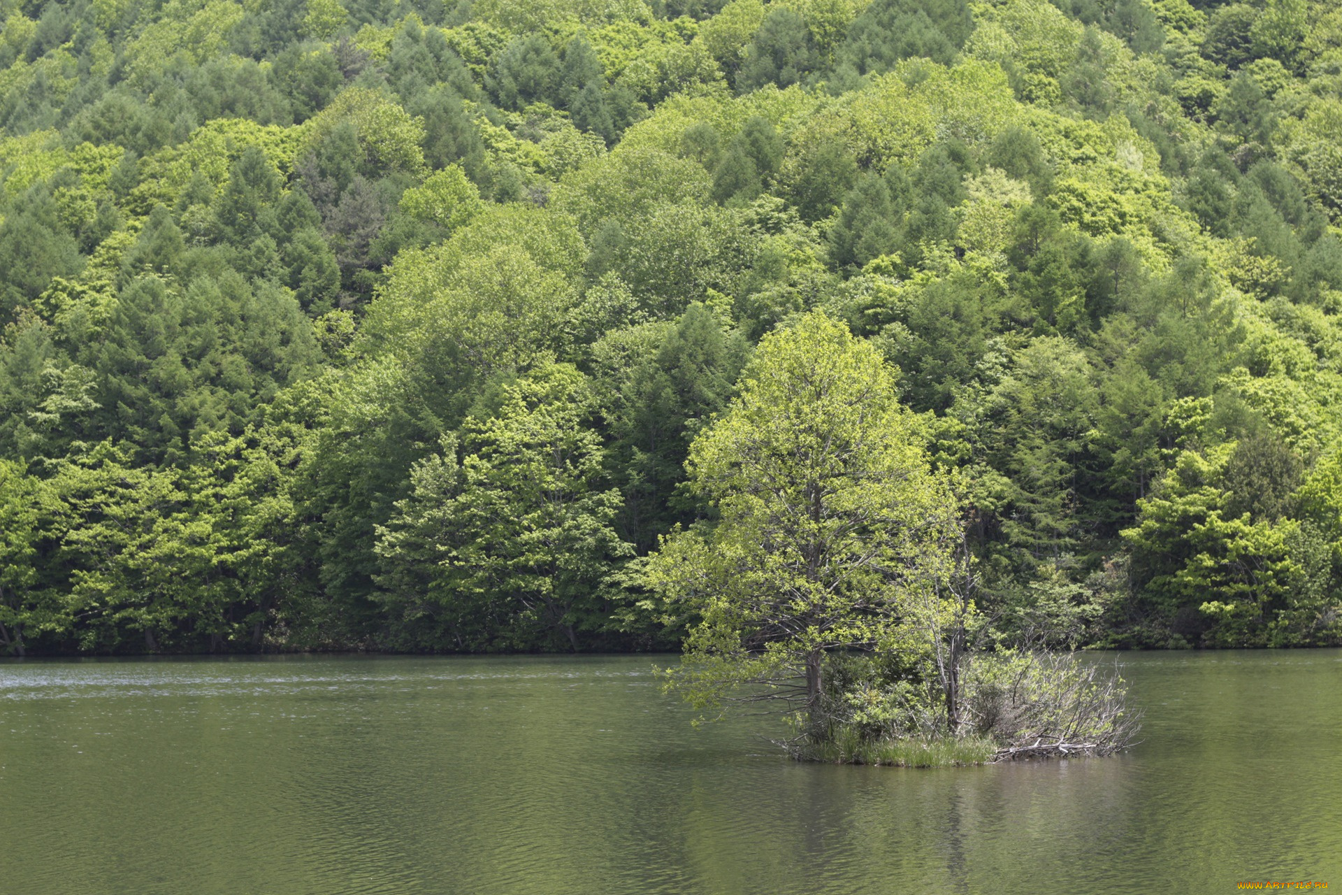 природа, реки, озера