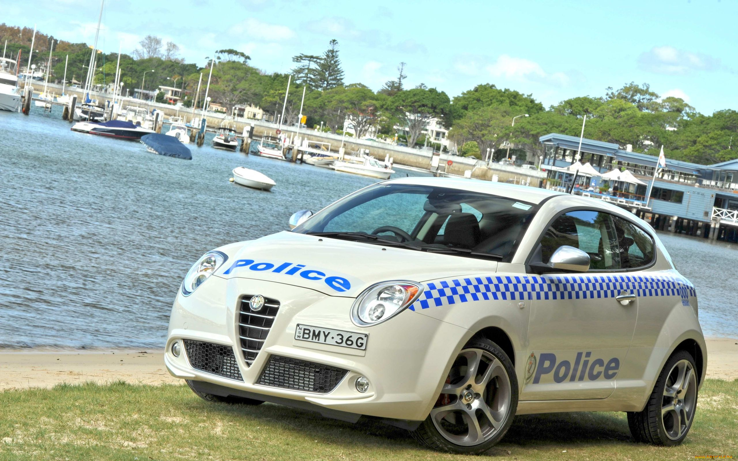 автомобили, полиция