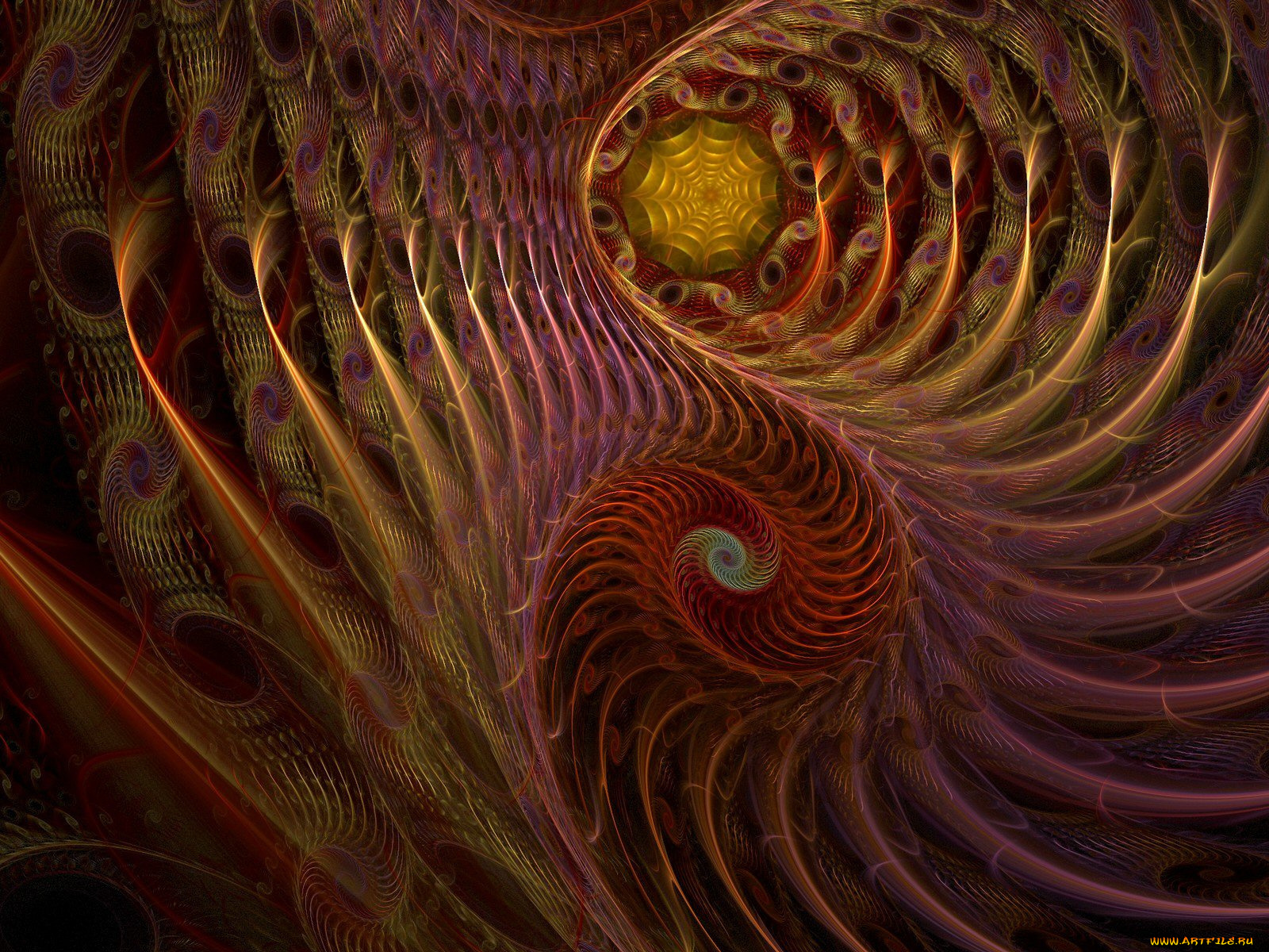 3д, графика, fractal, фракталы, изгиб, узор, фон, цвета