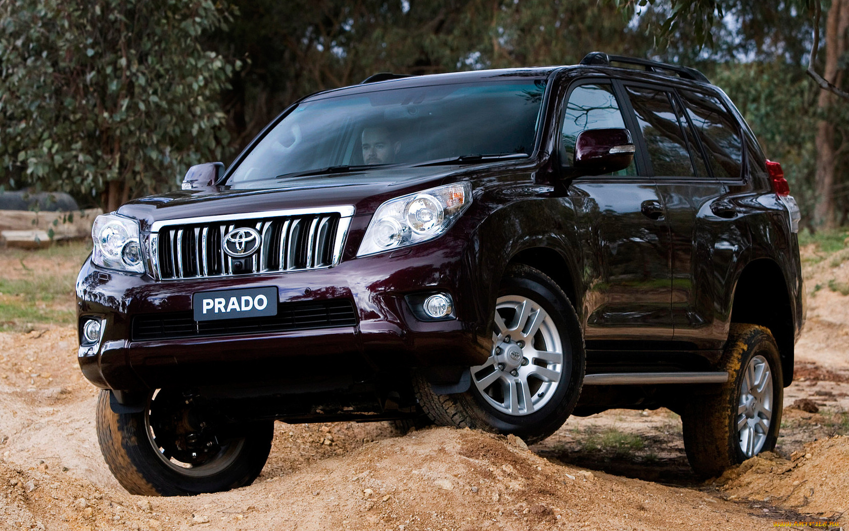 автомобили, toyota, внедорожник