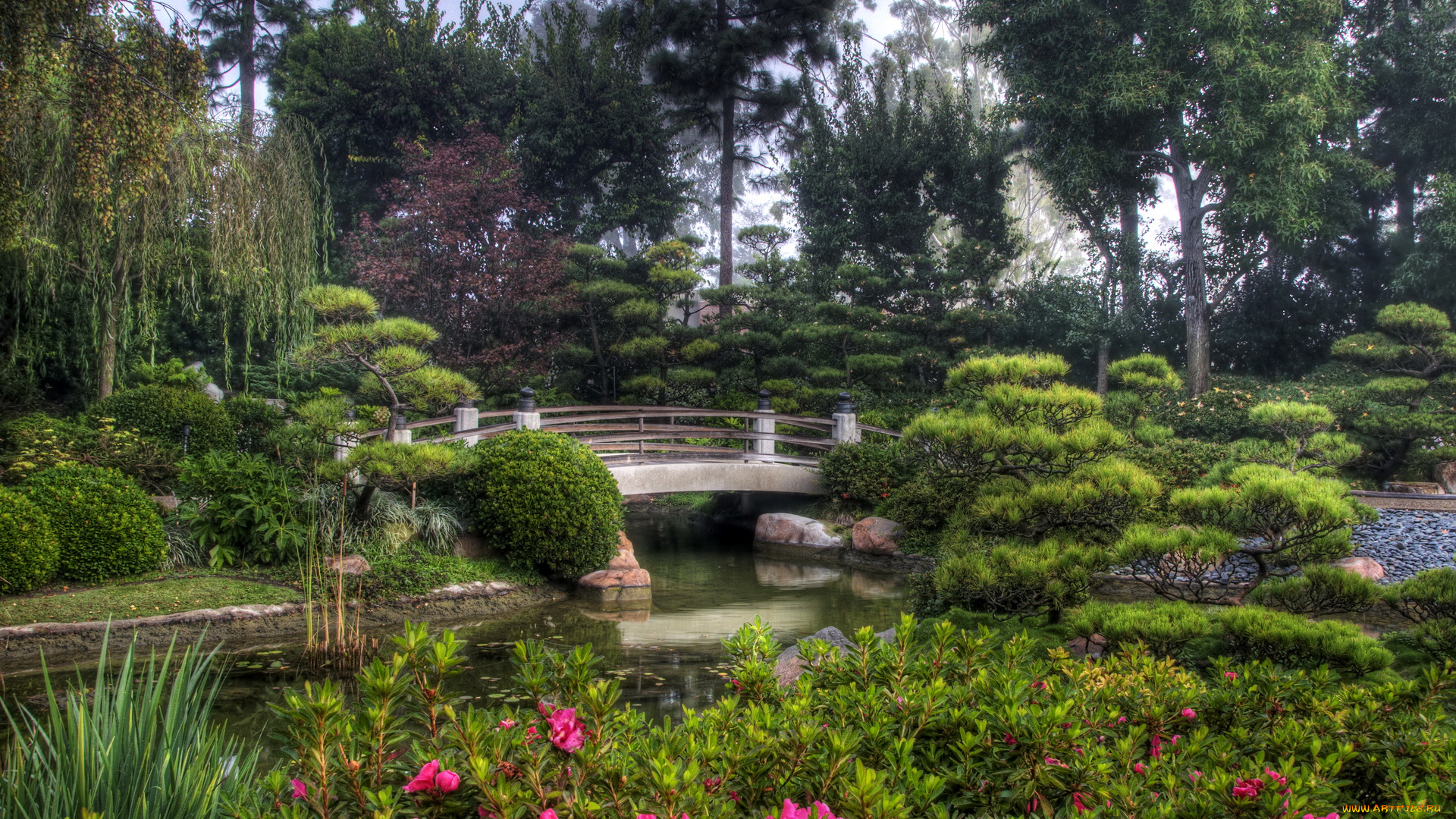 earl, burns, miller, japanese, garden, california, usa, природа, парк, вода, мостик, цветы, деревья
