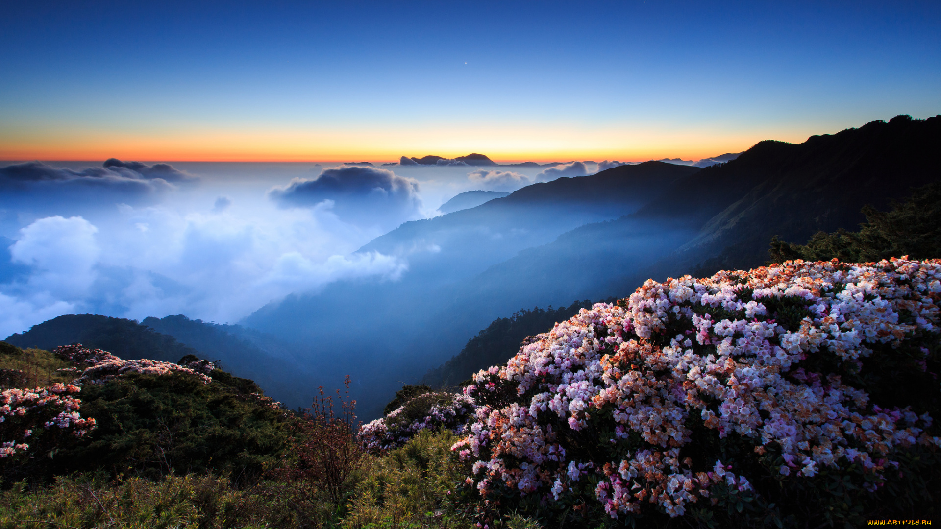 hehuanshan, природа, горы, облака, закат