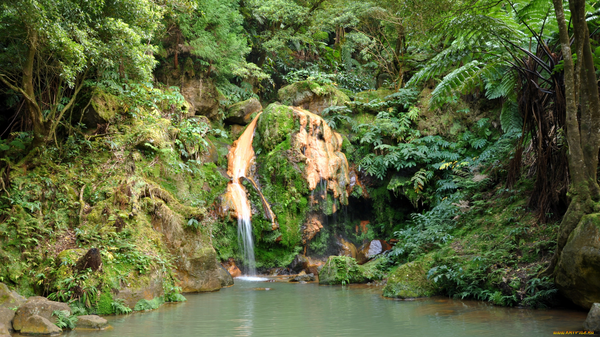 португалия, остров, сан, мигель, природа, водопады, сан-мигель, водопад, река, деревья
