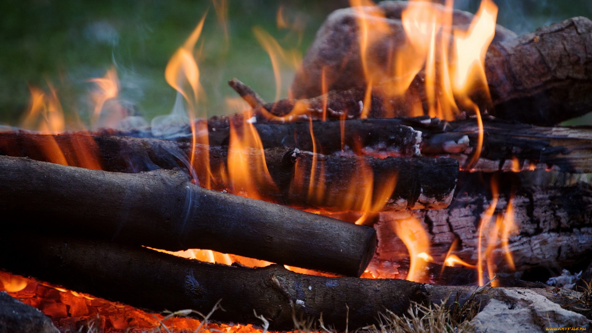 природа, огонь, пламя, костер