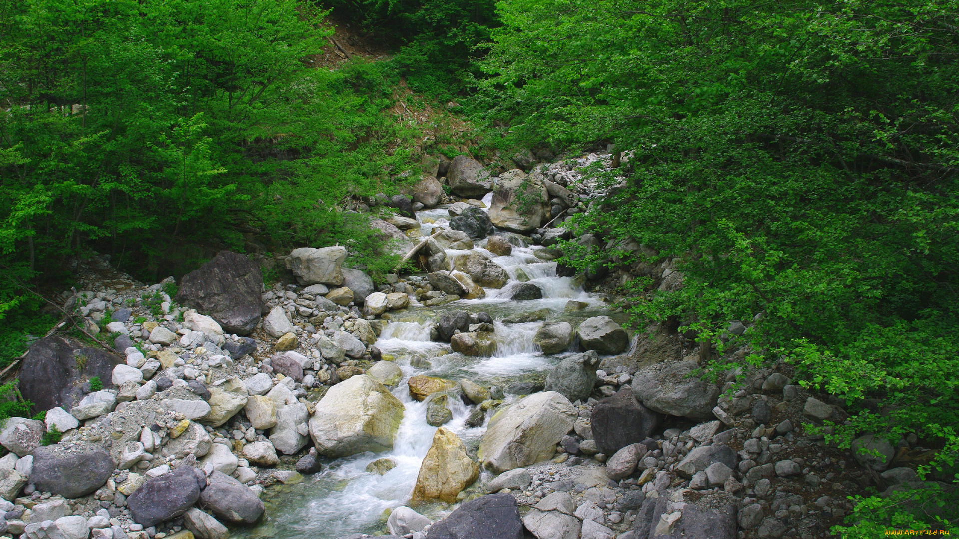 природа, реки, озера, ручей, лес, камни