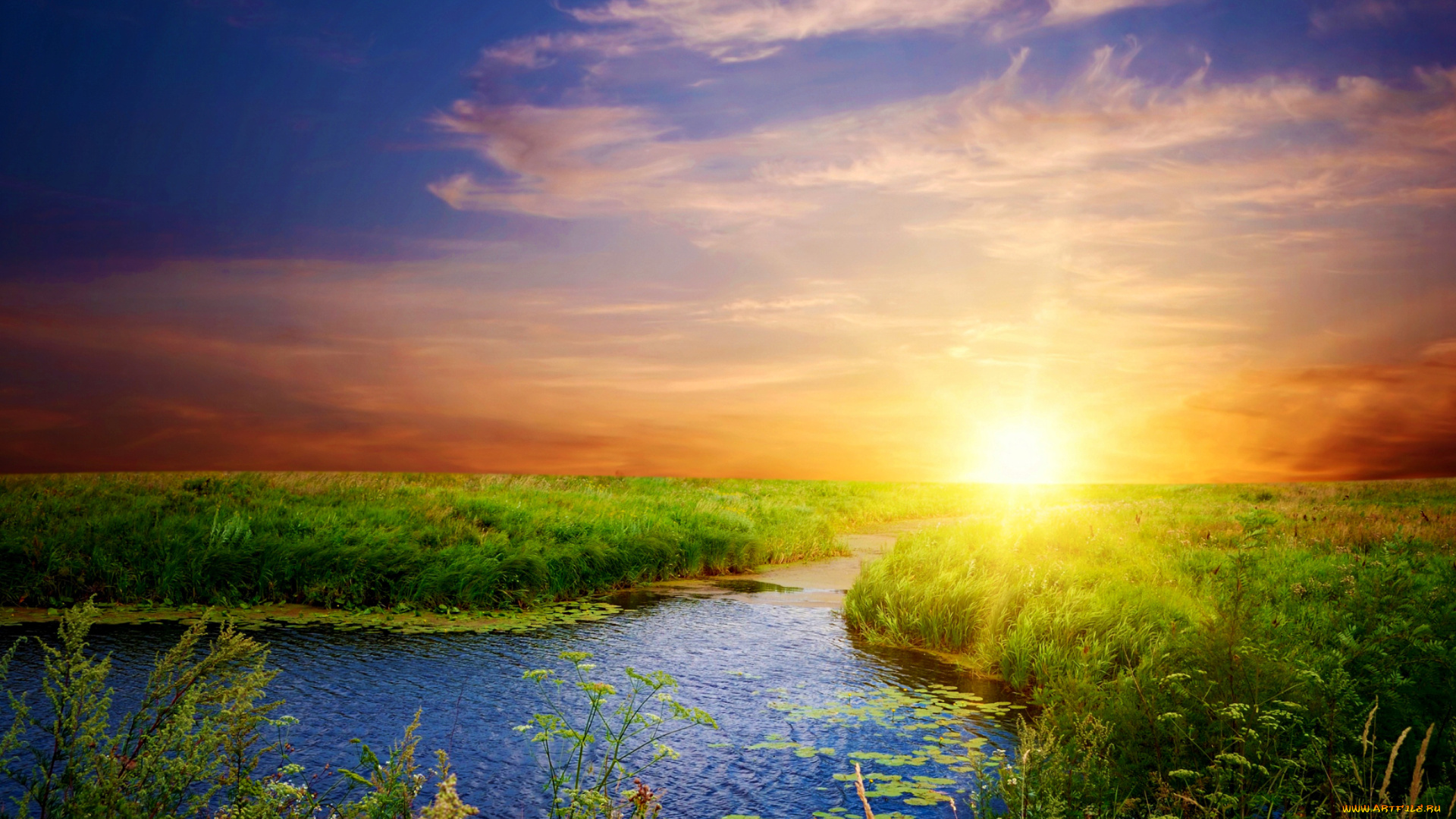 природа, восходы, закаты, река, луг, закат