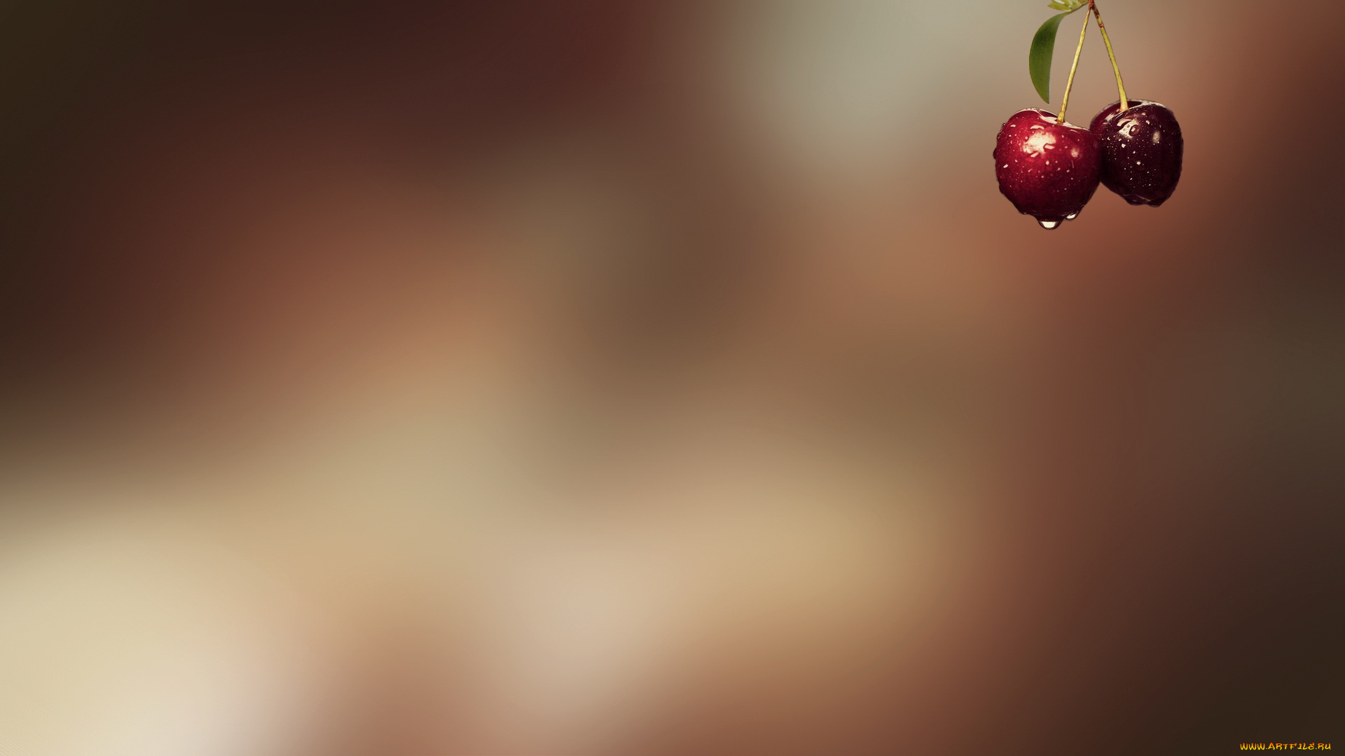 природа, Ягоды, листочек, черешня