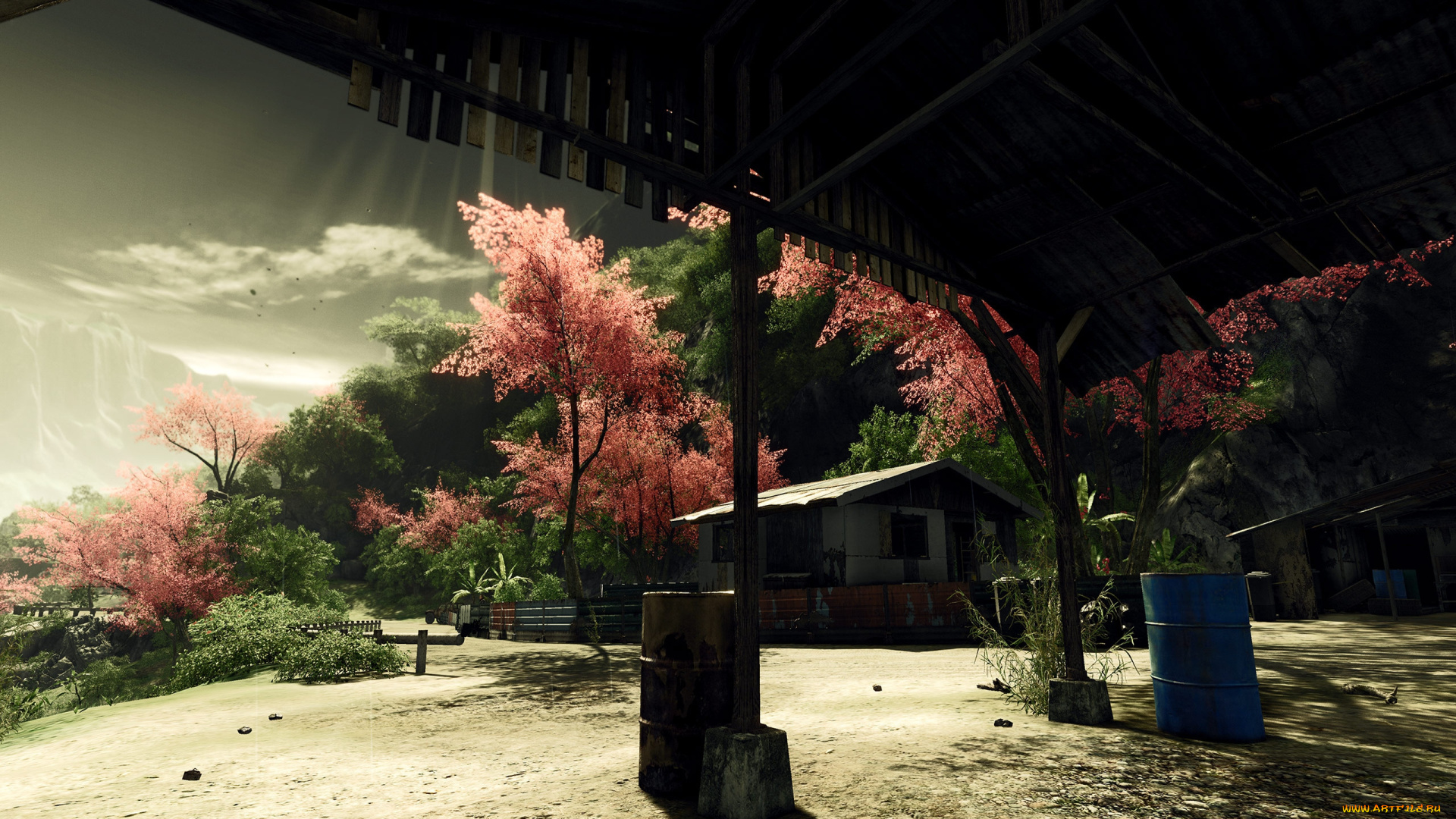 разное, сооружения, постройки, навес, цветущие, деревья, бочка