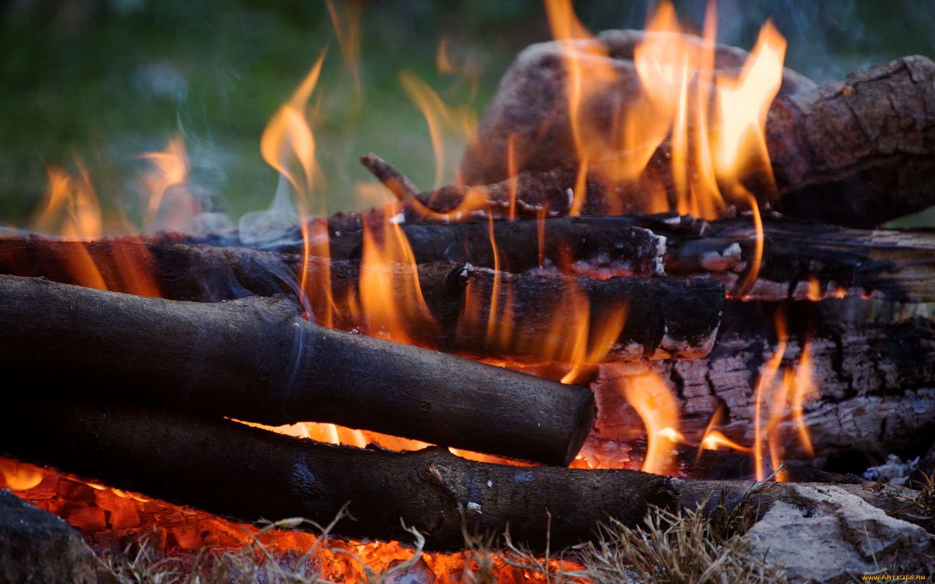 природа, огонь, пламя, костер