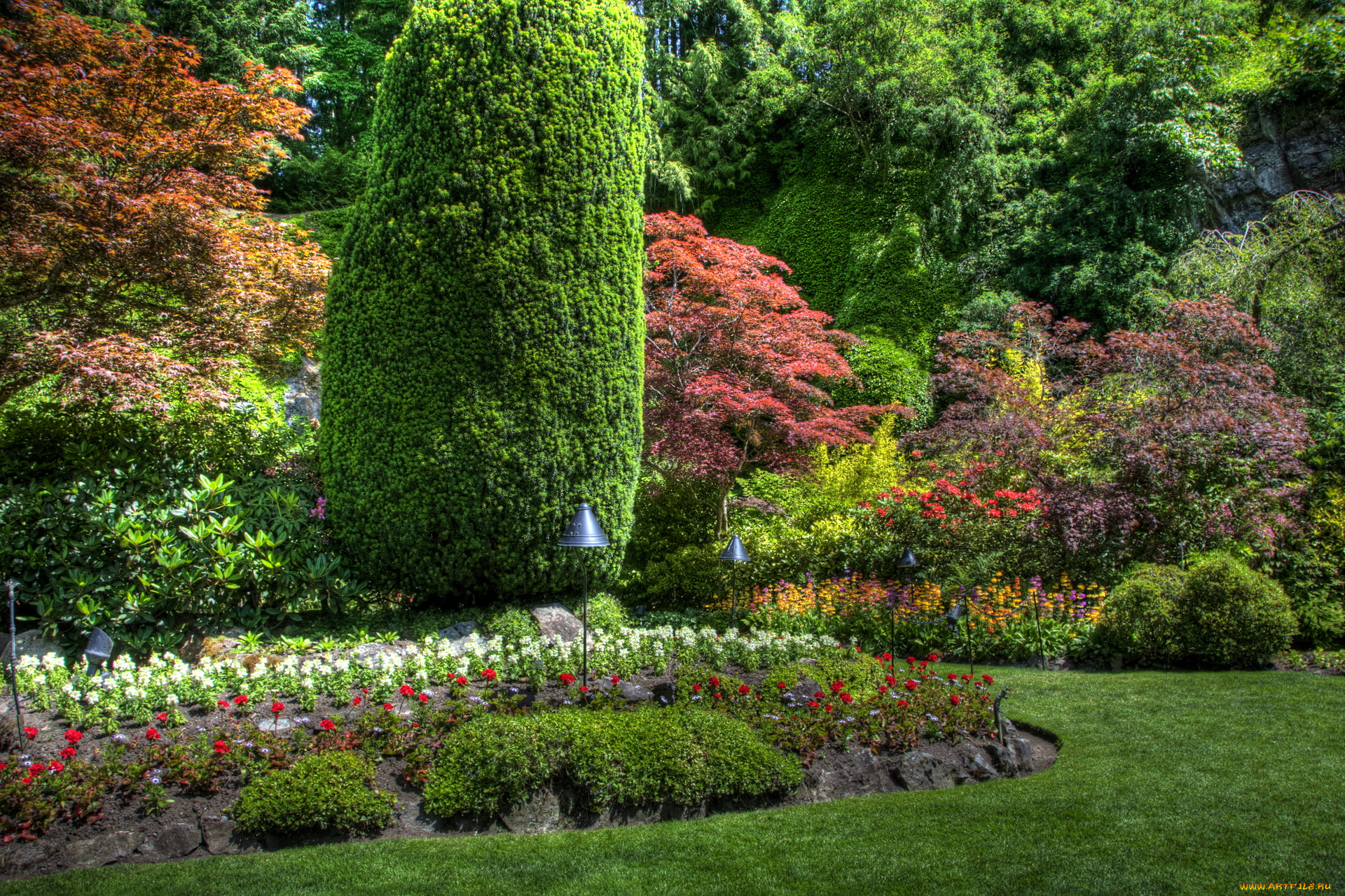 природа, парк, канада, butchart, victoria