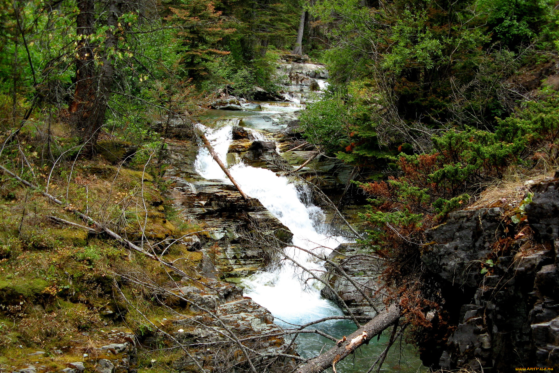 природа, реки, озера, национальный, парк, glacier
