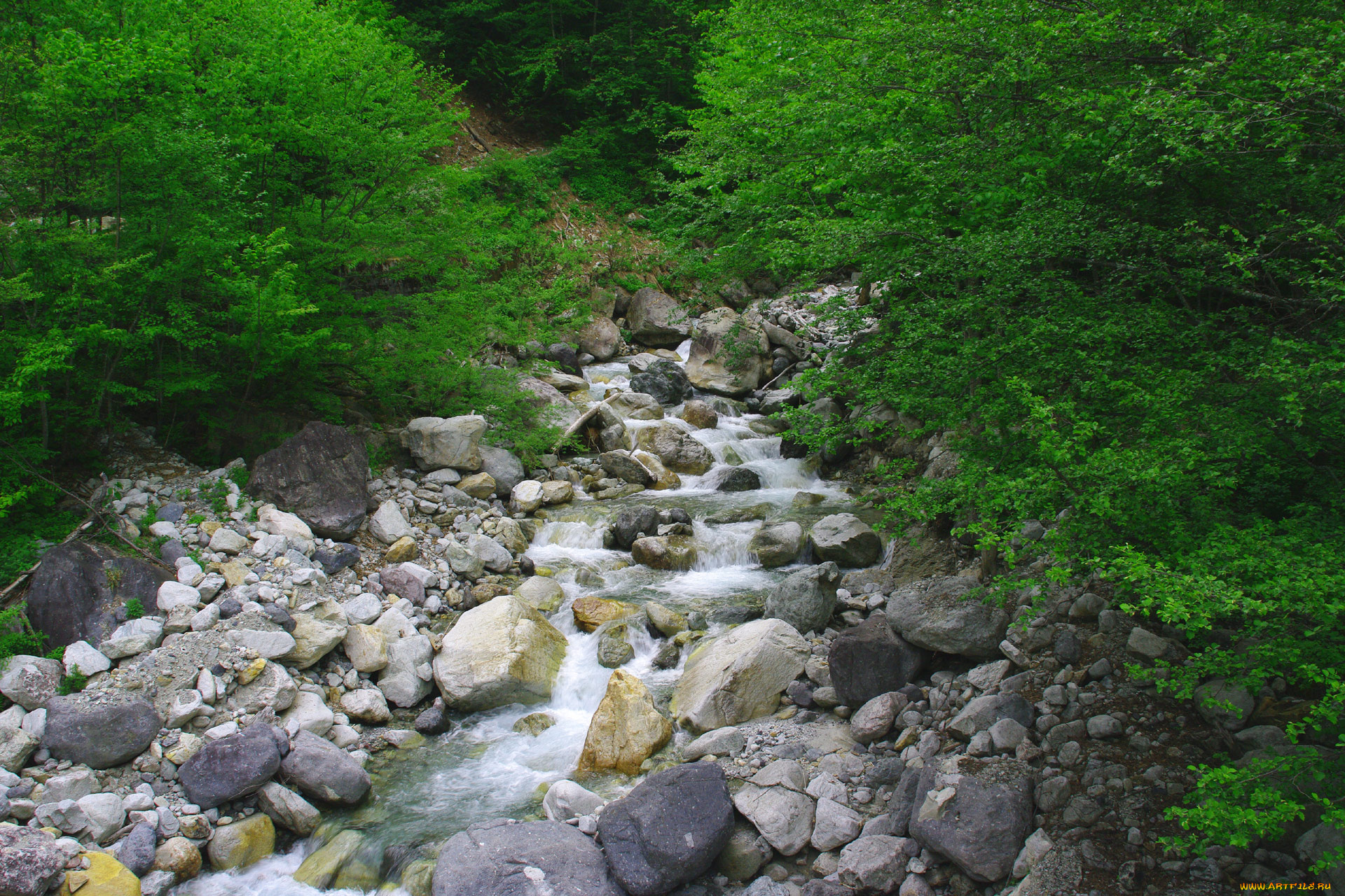 природа, реки, озера, ручей, лес, камни