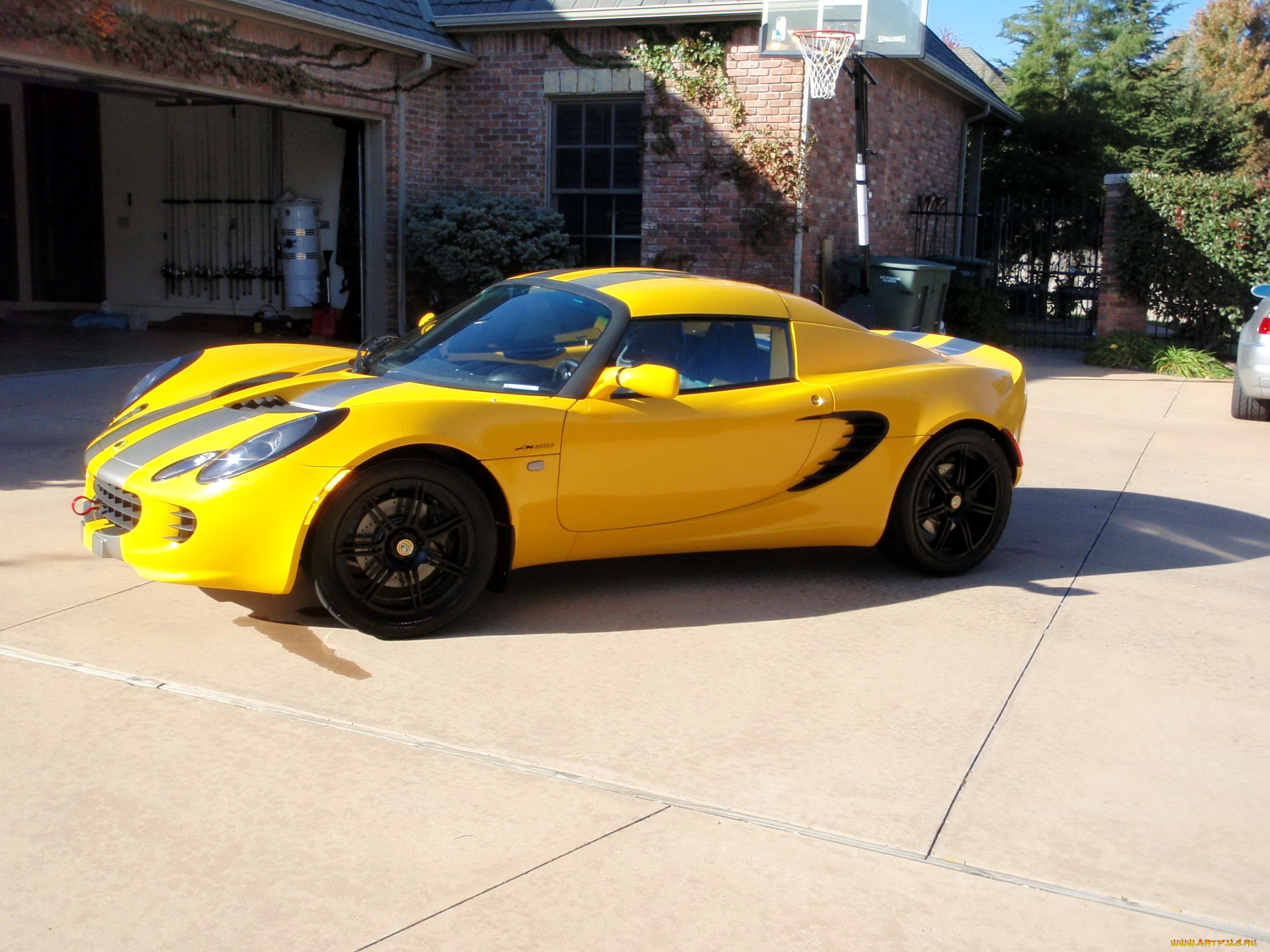 автомобили, выставки, уличные, фото, elise, lotus