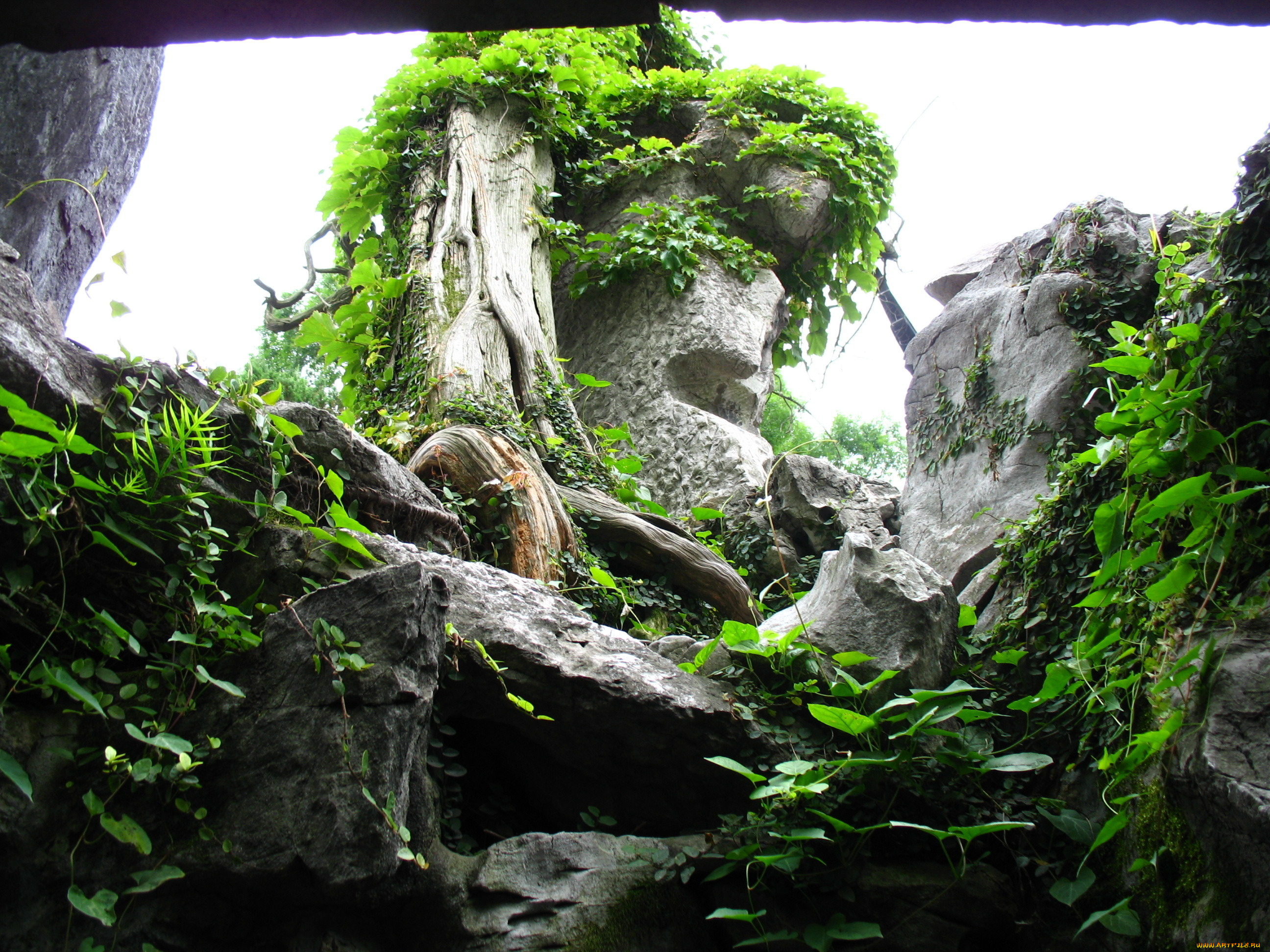 природа, другое, камни, дерево, листья