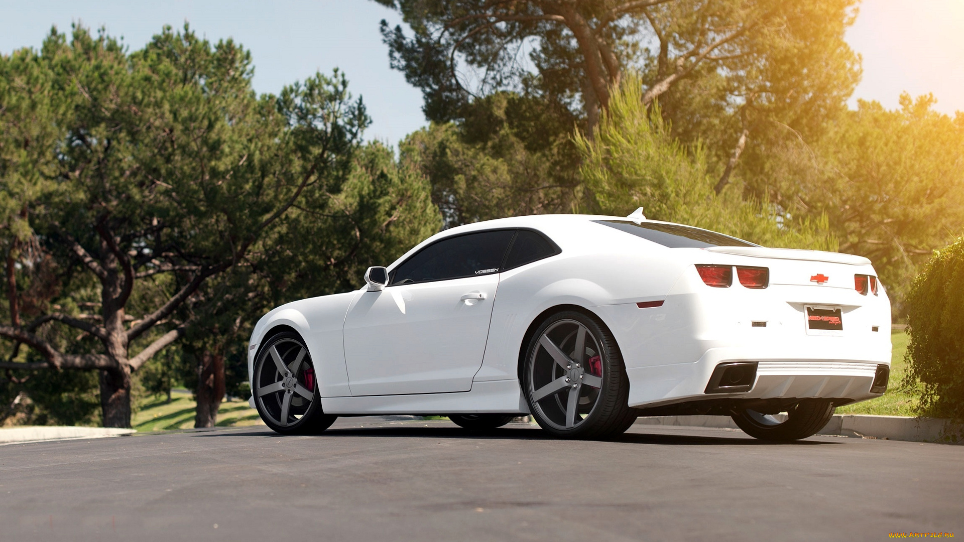 chevrolet, camaro, автомобили, gm, division, сша