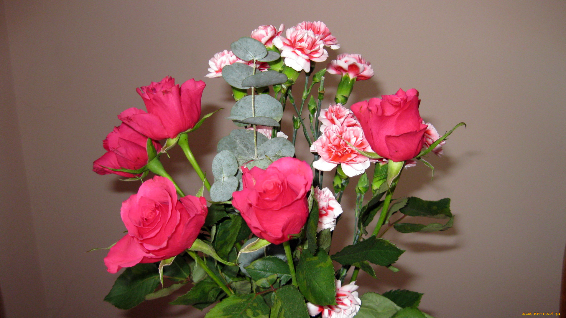 цветы, разные, вместе, букет, розы, гвоздики