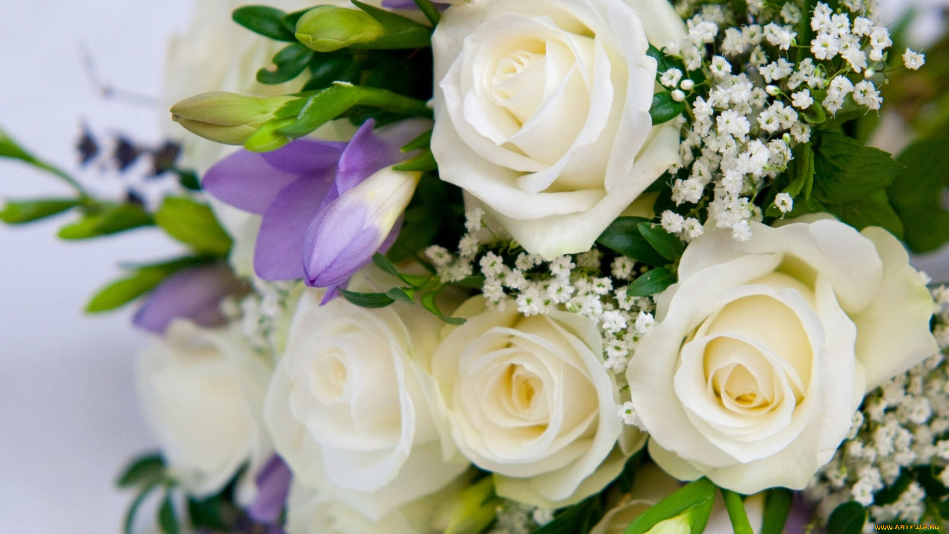 цветы, разные, вместе, розы, гипсофила, фрезия, букет