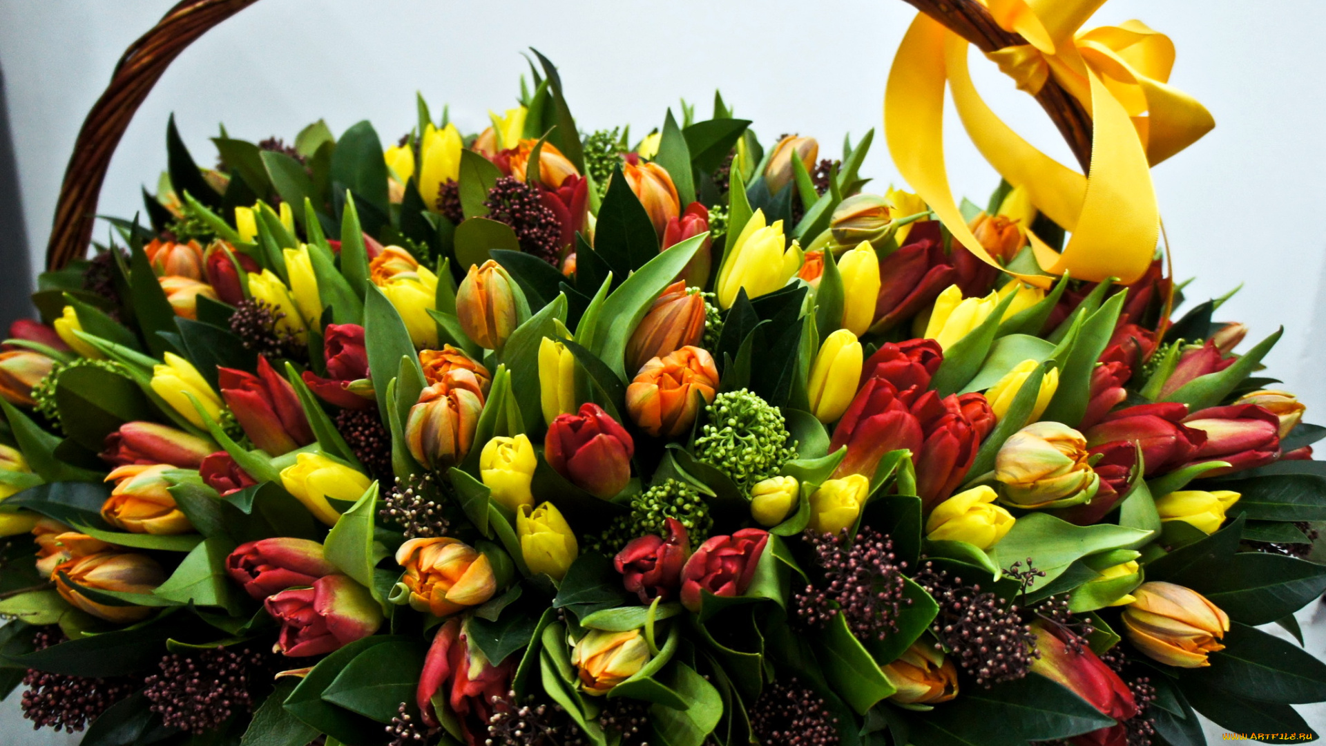 цветы, тюльпаны, корзина